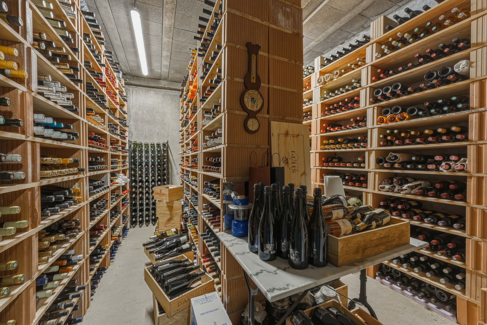 maison de luxe 10 Pièces en vente sur CHALLEX (01630)