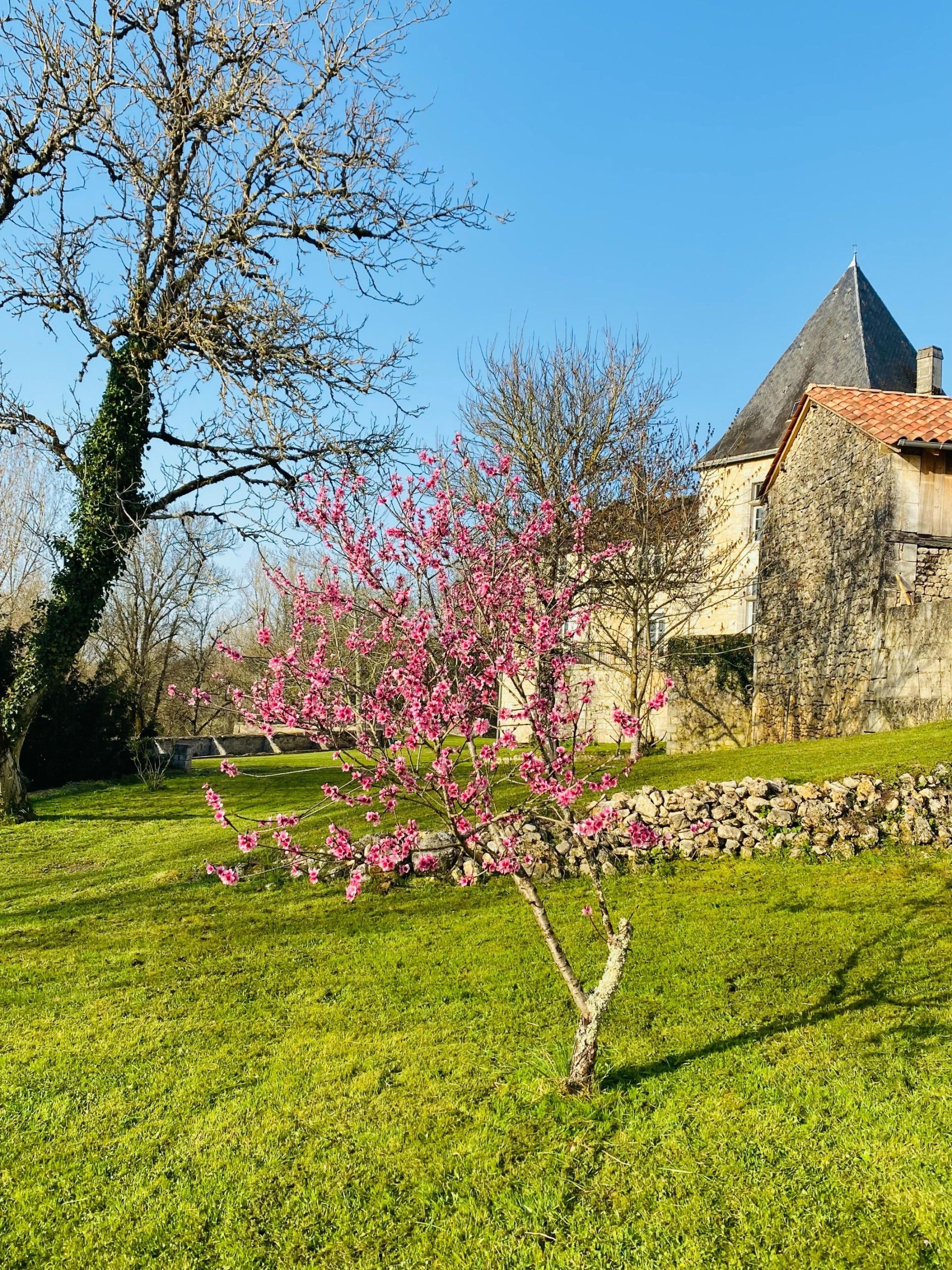 maison de luxe 10 Pièces en vente sur CHAMPAGNAC DE BELAIR (24530)