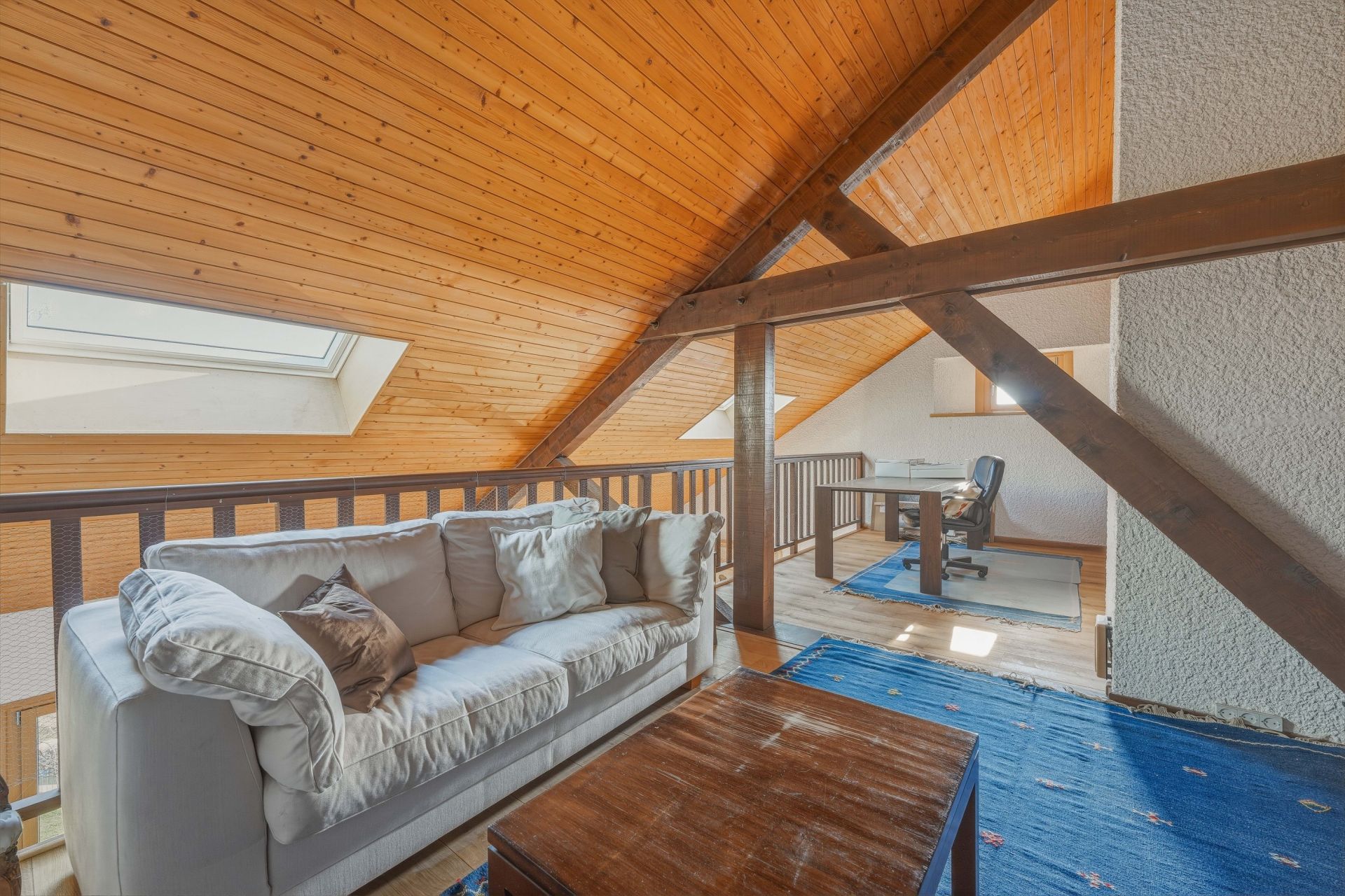 maison de luxe 12 Pièces en vente sur GRILLY (01220)