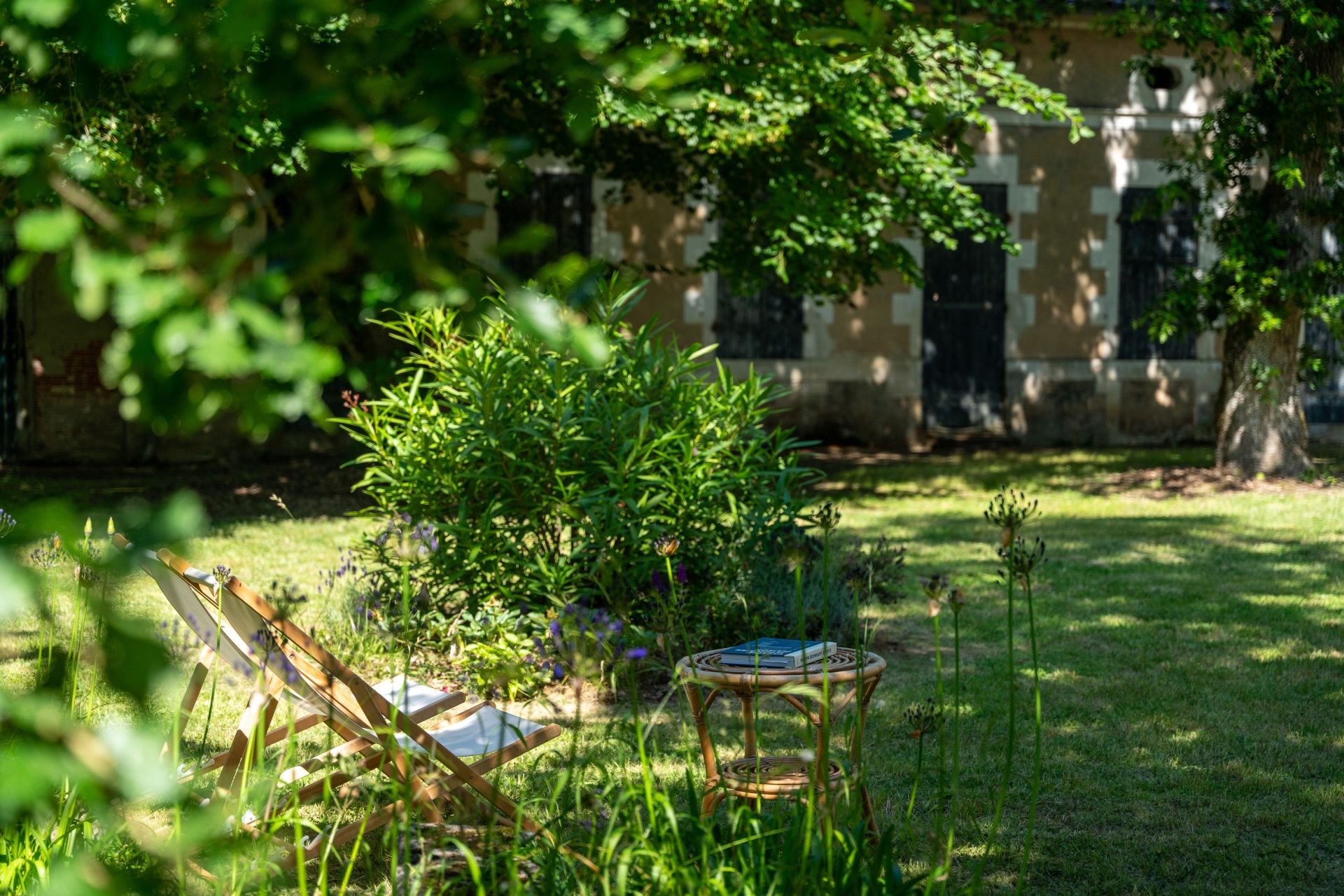 maison bourgeoise 8 Pièces en vente sur FOURAS (17450)