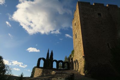 Vente Château Perpignan 18&nbsp;Pièces 600&nbsp;m²