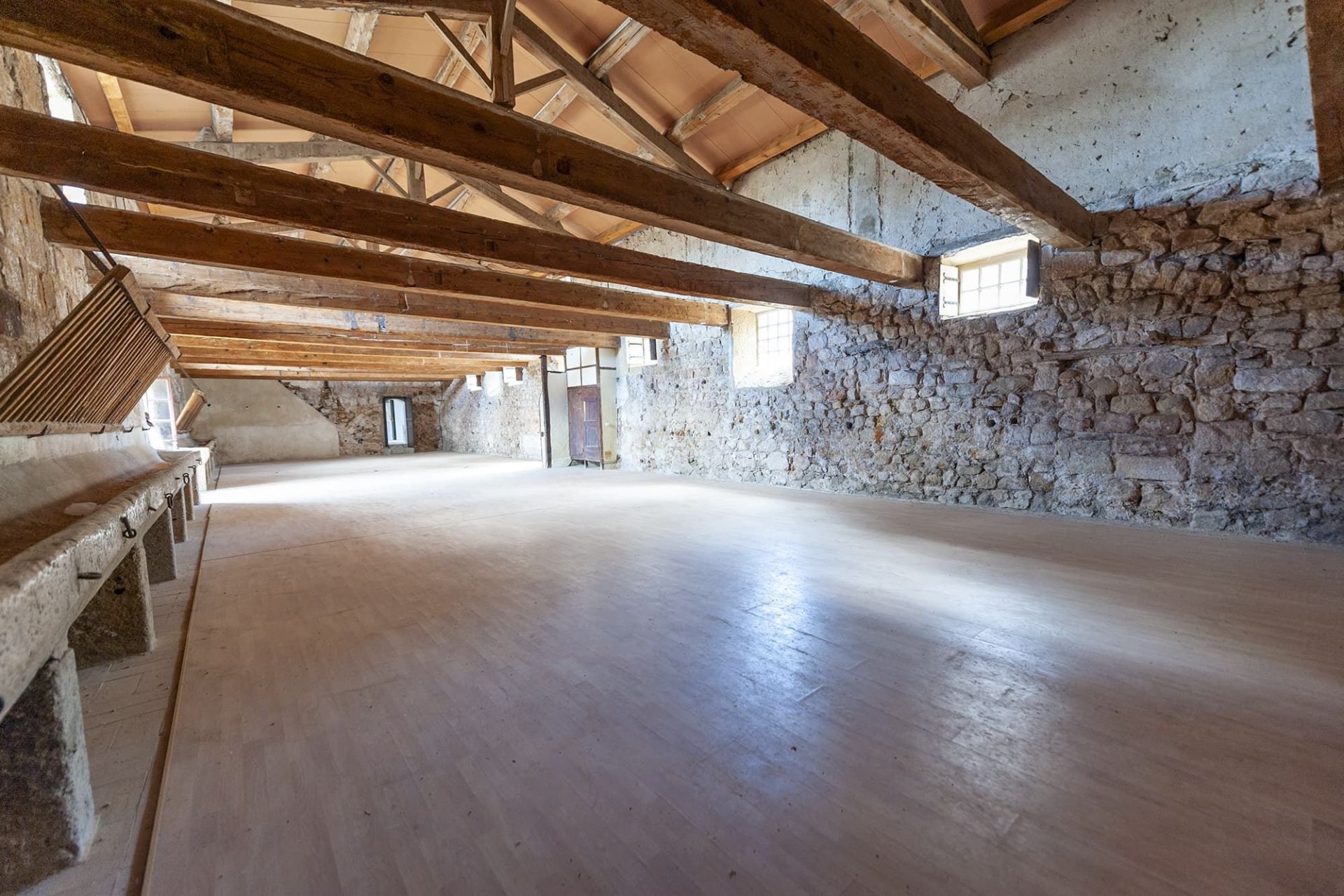 château 40 Pièces en vente sur BIZANET (11200)