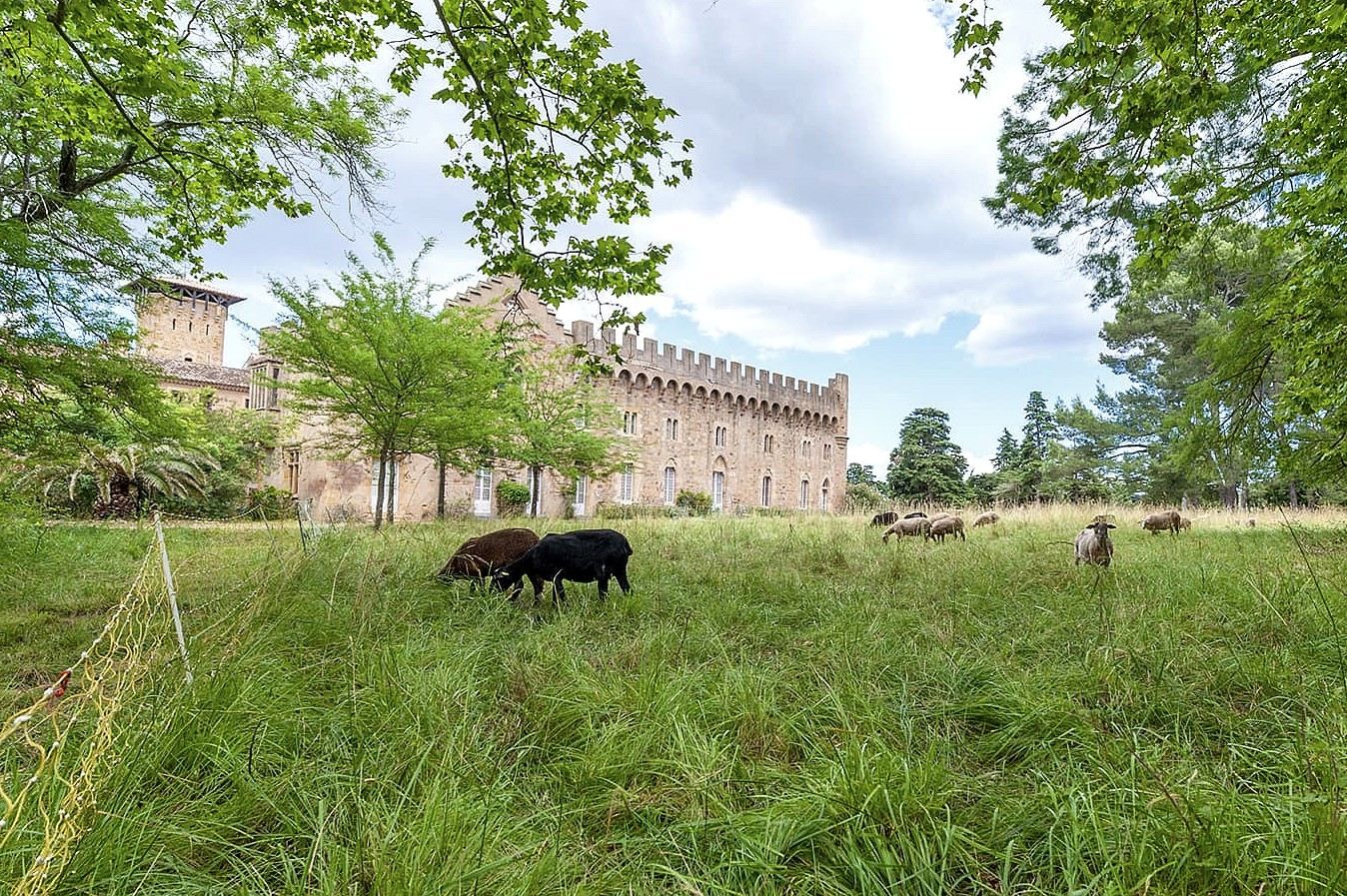 château 40 Pièces en vente sur BIZANET (11200)