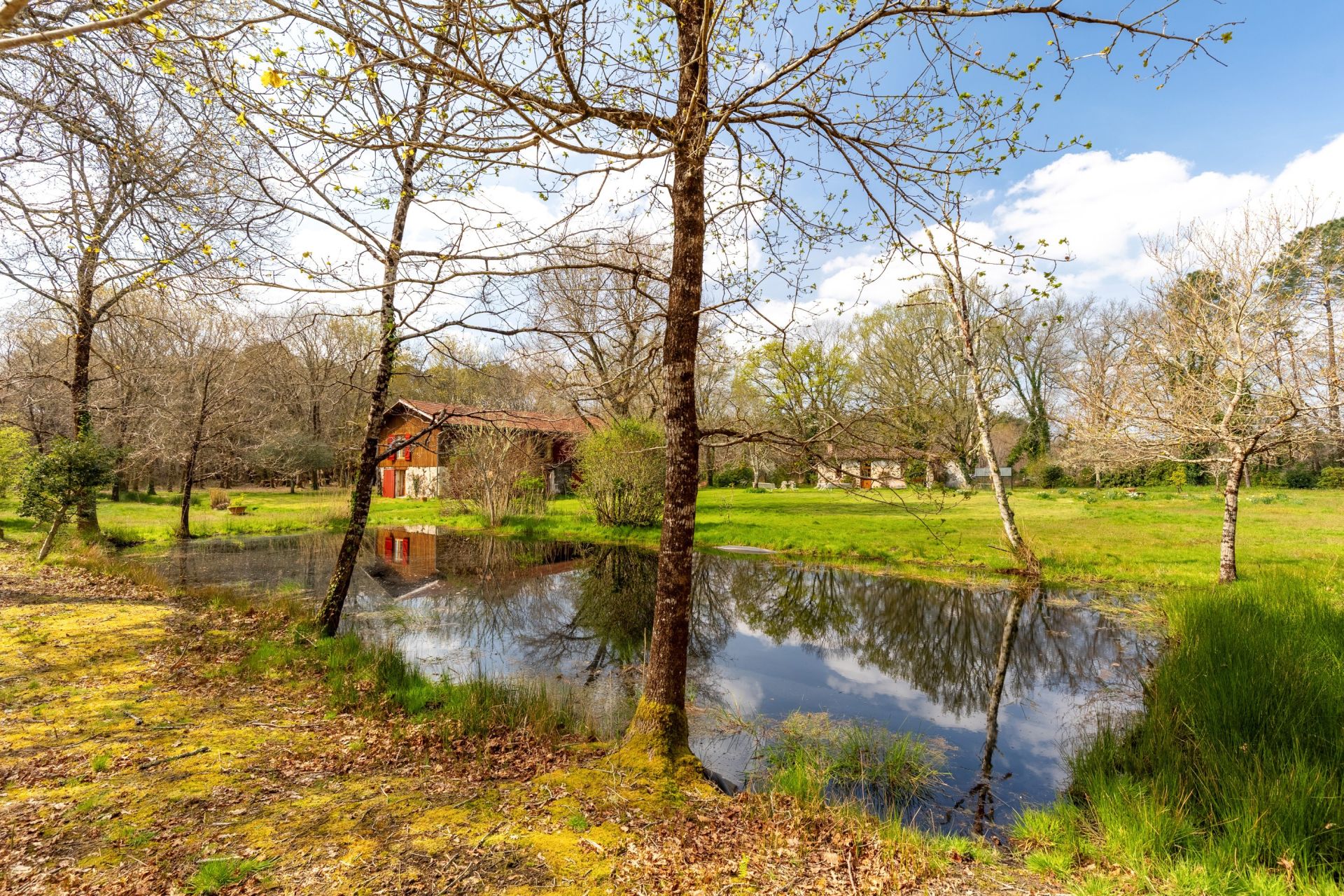 maison de luxe 7 Pièces en vente sur ARES (33740)