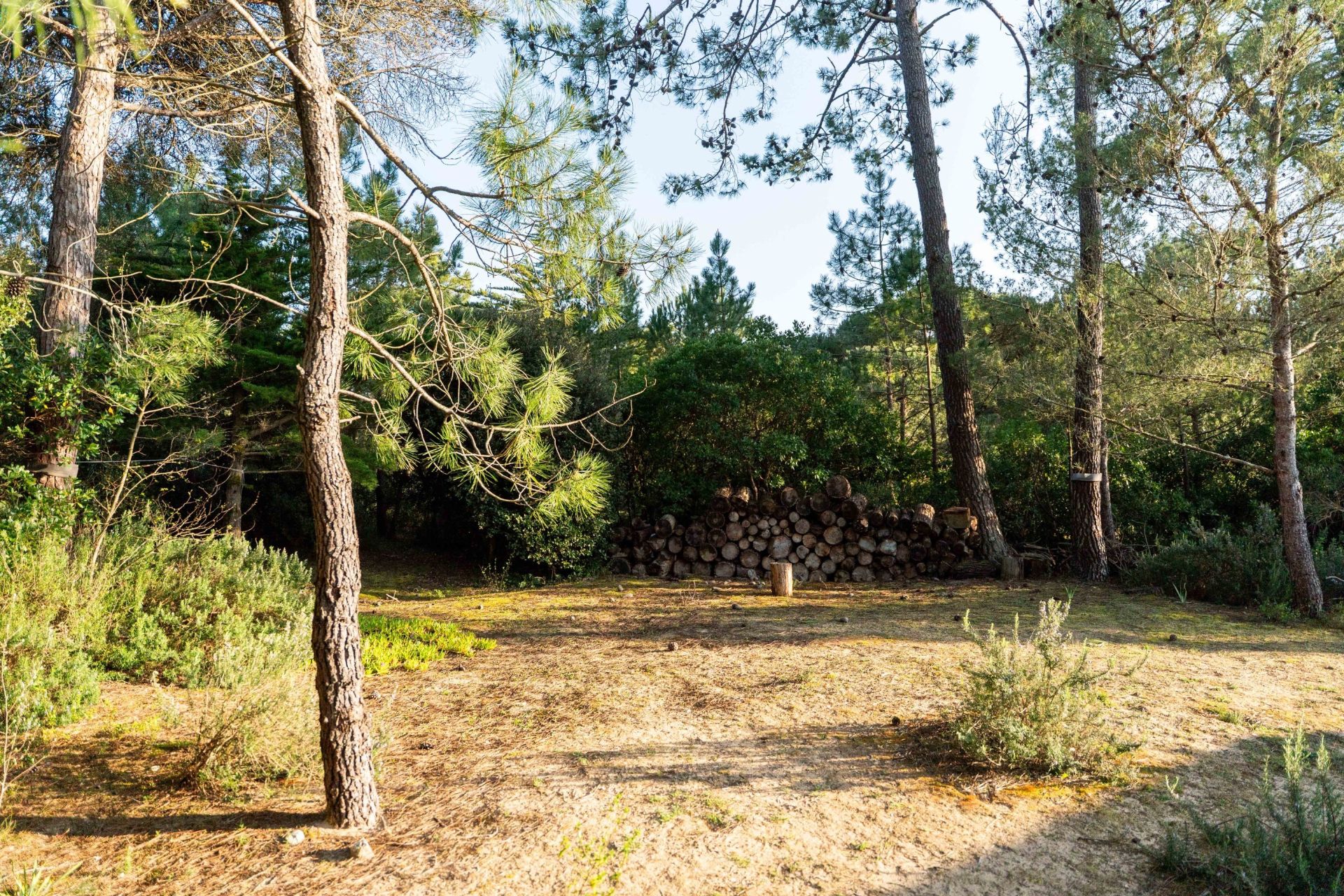 maison de luxe 9 Pièces en vente sur LES PORTES EN RE (17880)