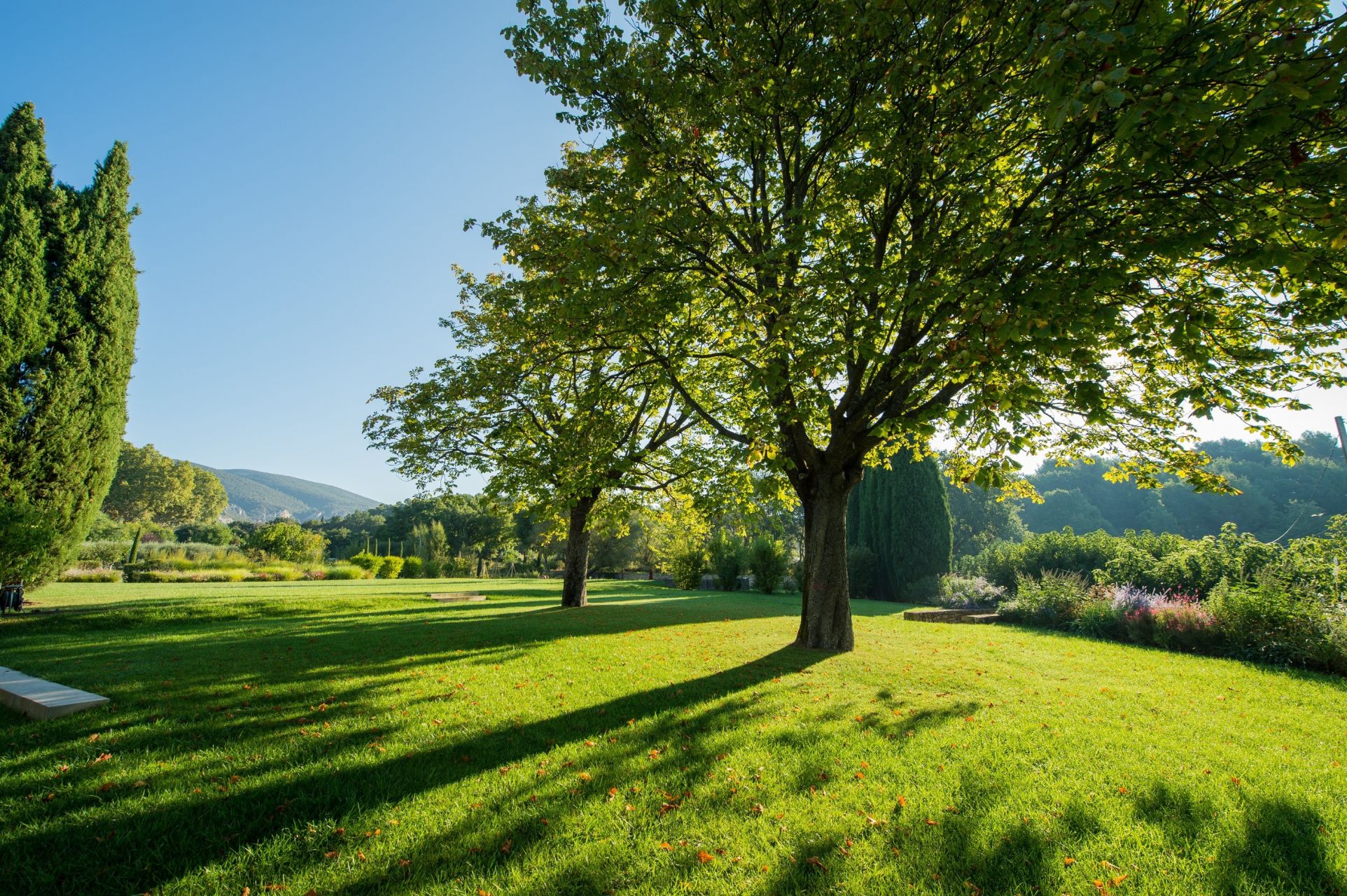 maison de luxe 12 Pièces en vente sur VAUGINES (84160)