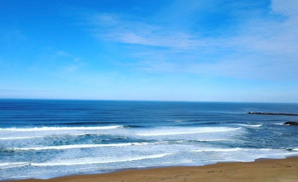 luxury house 6 Rooms for sale on ANGLET (64600)