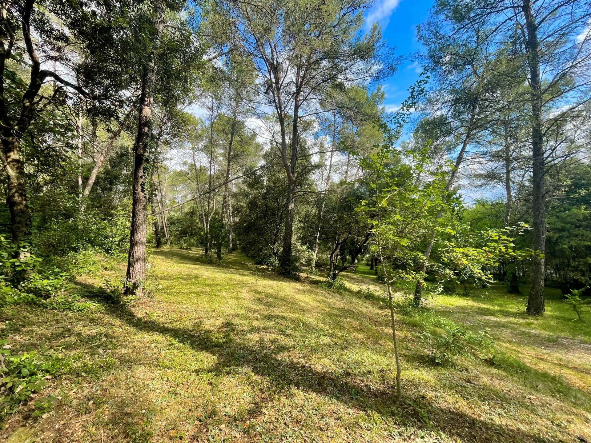 maison de luxe 9 Pièces en vente sur MONTPELLIER (34000)