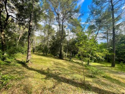 Vente Maison de luxe Montpellier 9&nbsp;Pièces 289&nbsp;m²