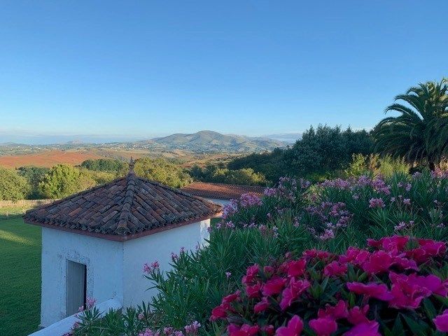 maison de luxe 15 Pièces en vente sur BAYONNE (64100)