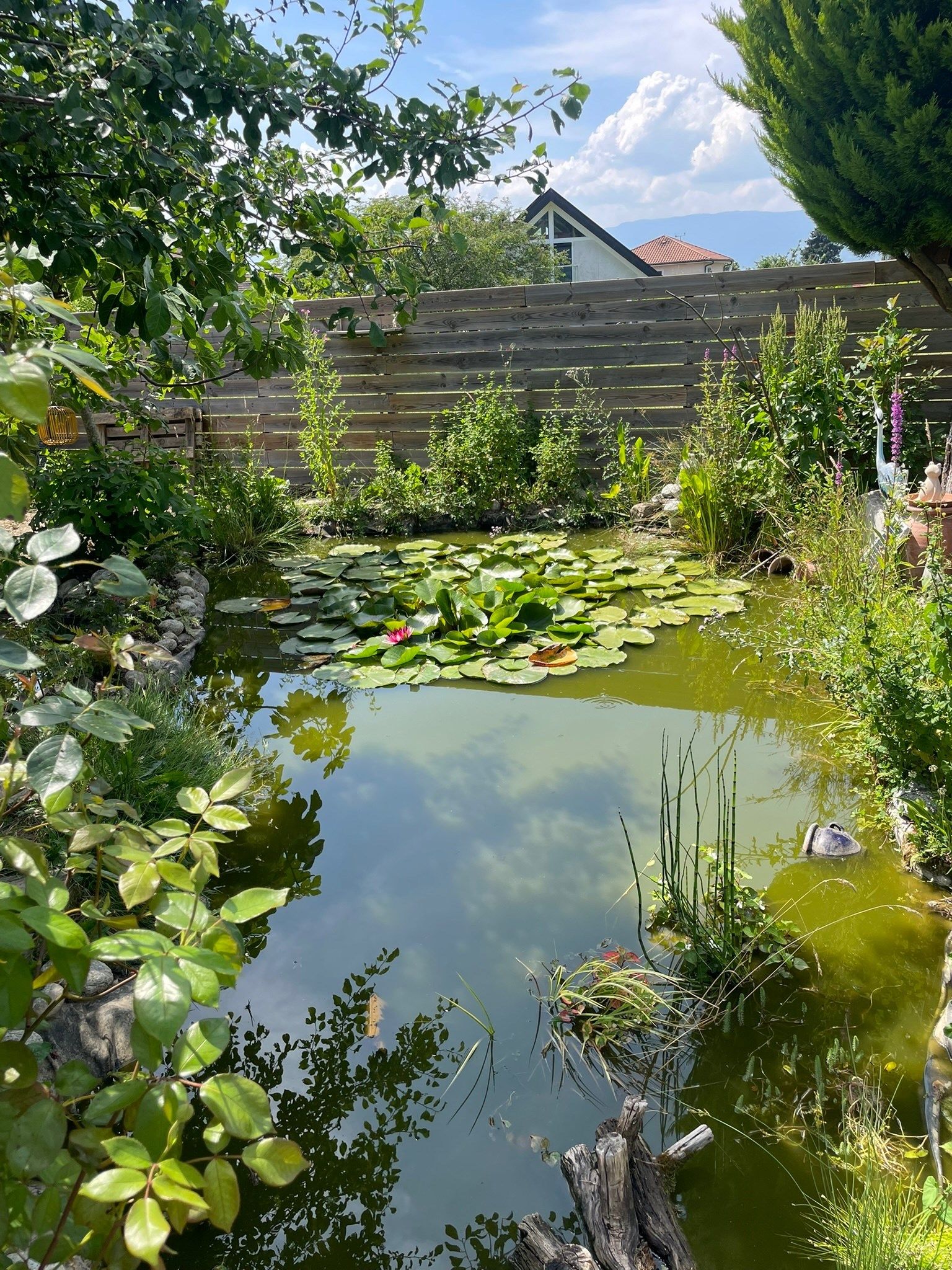 maison d'architecte 7 Pièces en vente sur CHENS SUR LEMAN (74140)