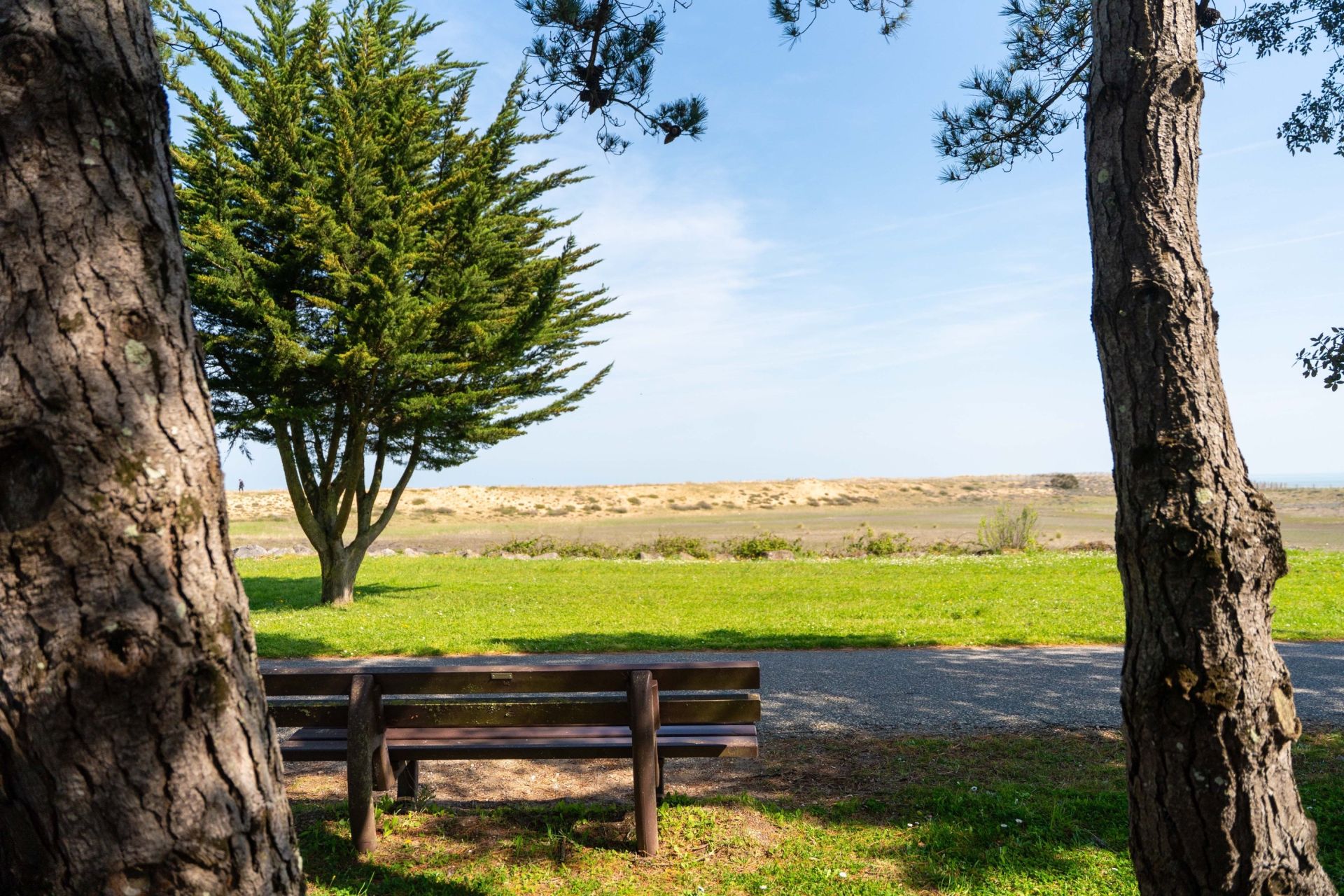 maison de luxe 10 Pièces en vente sur LA BREE LES BAINS (17840)
