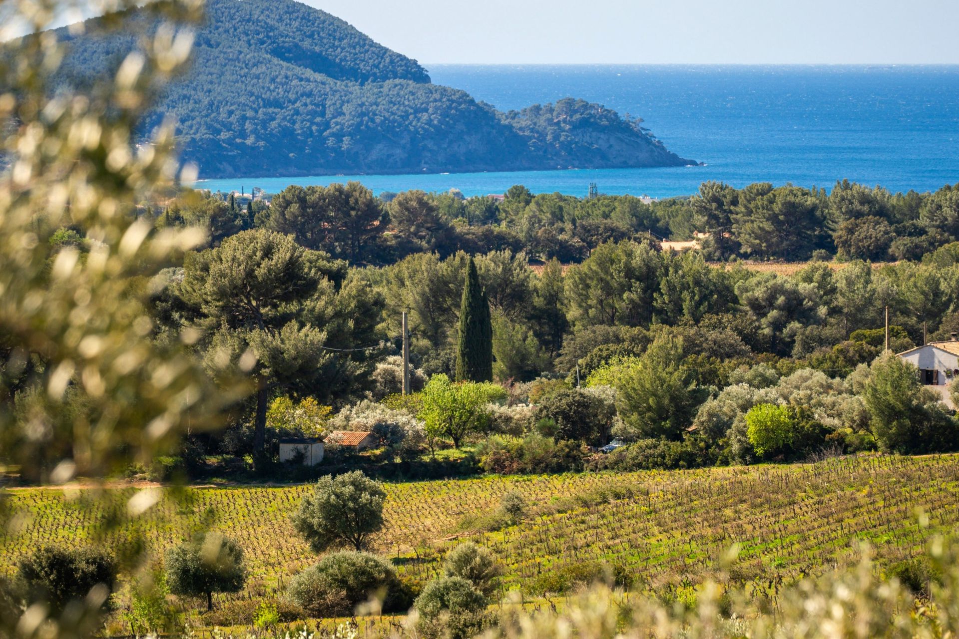 maison de luxe 6 Pièces en vente sur LA CADIERE D AZUR (83740)