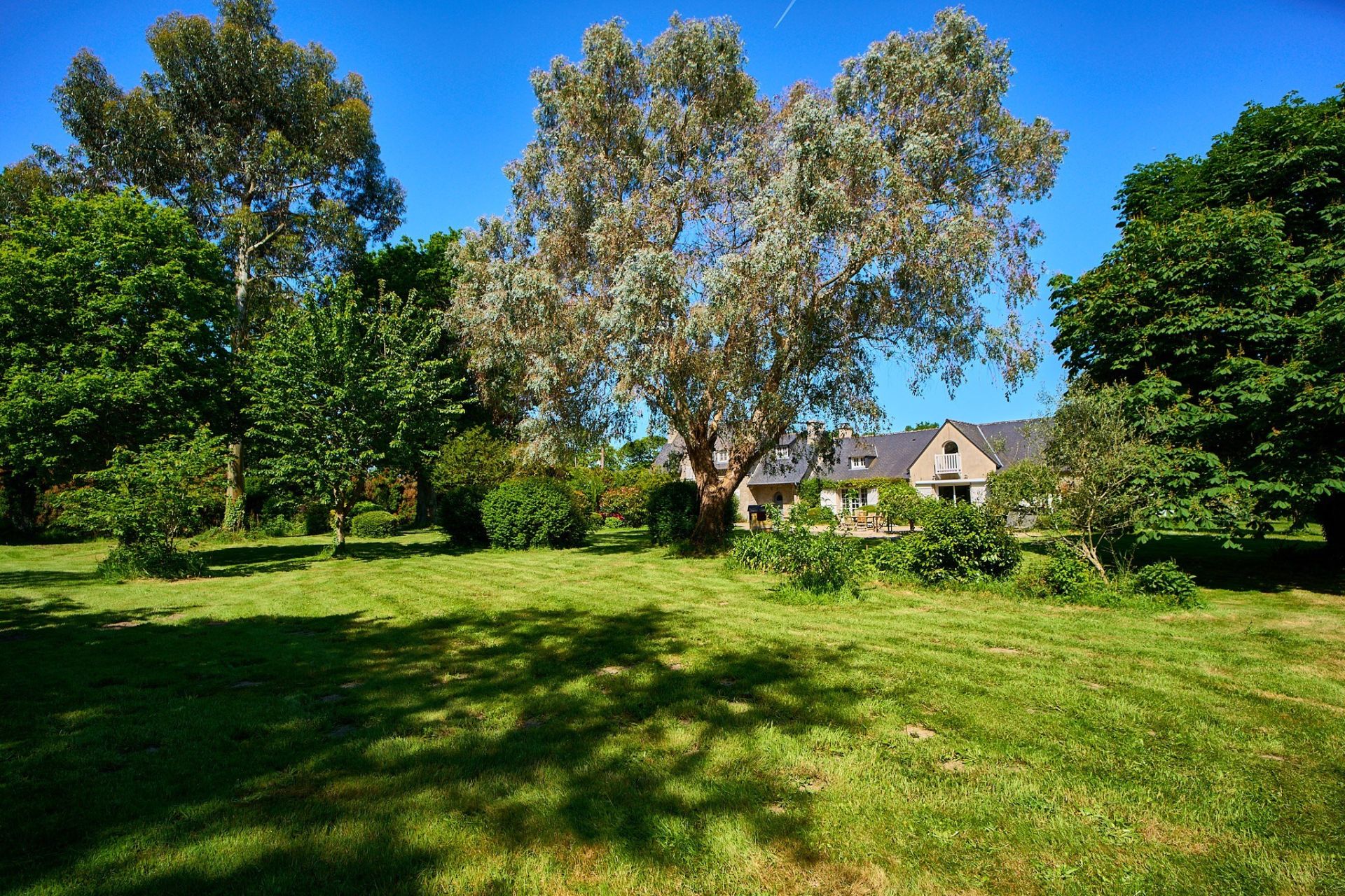 luxury house 10 Rooms for sale on ST LUNAIRE (35800)