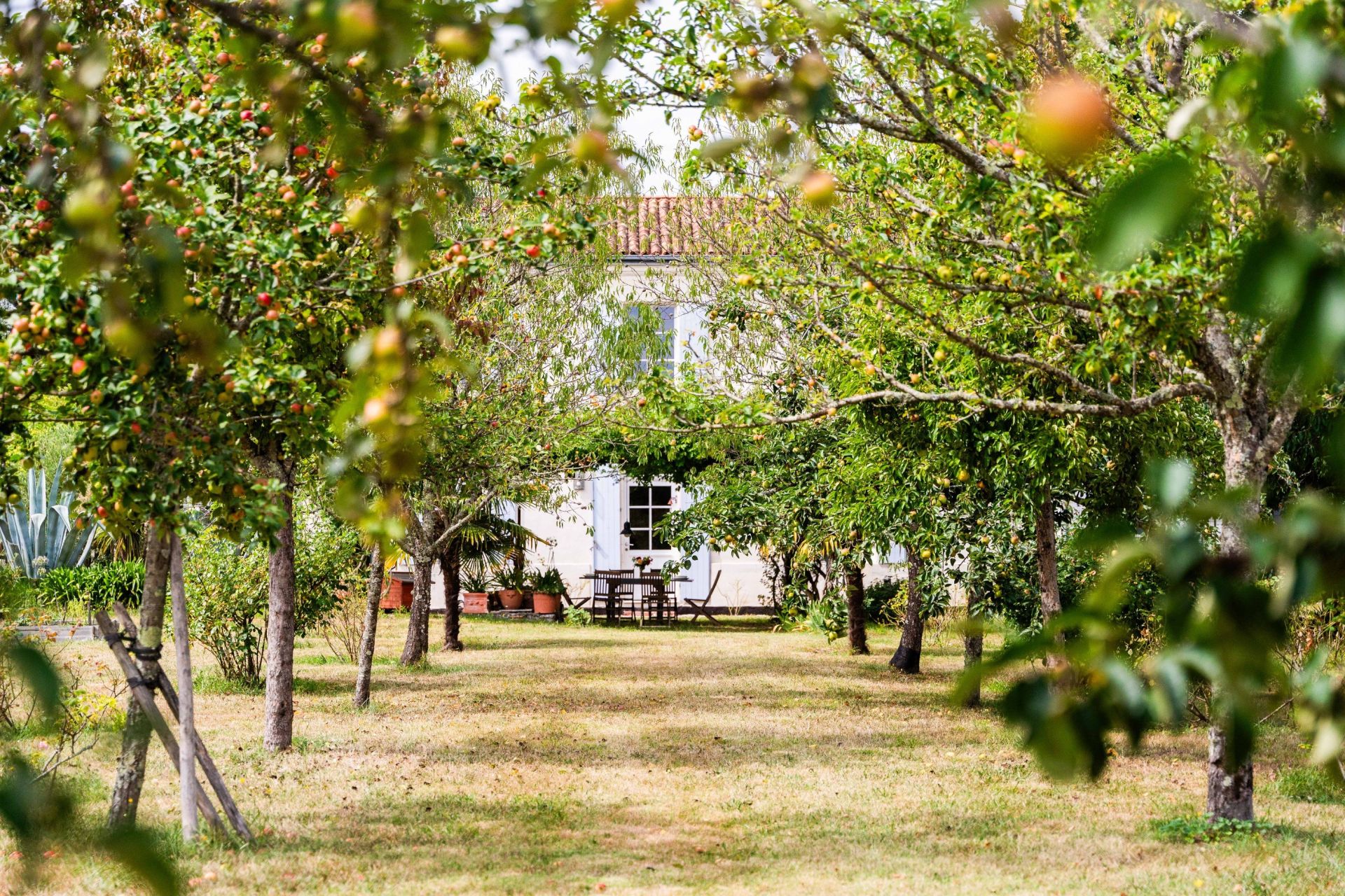 maison de luxe 6 Pièces en vente sur ARVERT (17530)