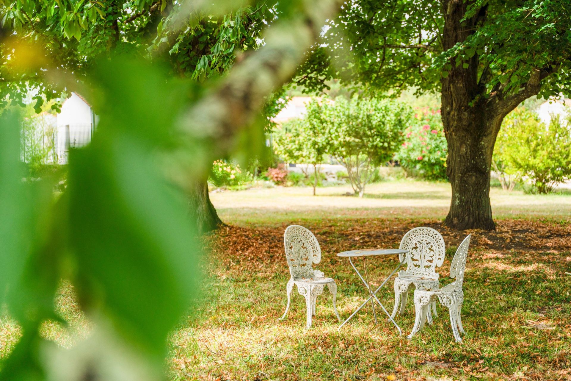 luxury house 6 Rooms for sale on ARVERT (17530)