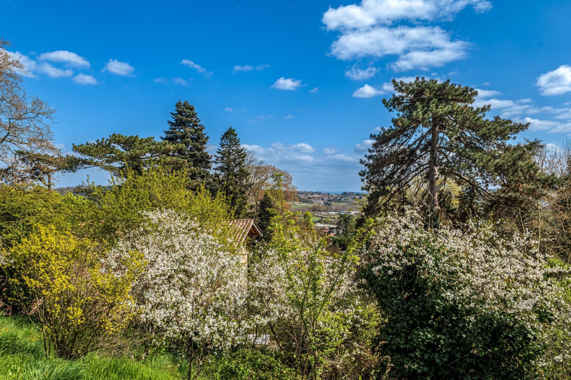 maison de luxe 8 Pièces en vente sur BRIGNAIS (69530)