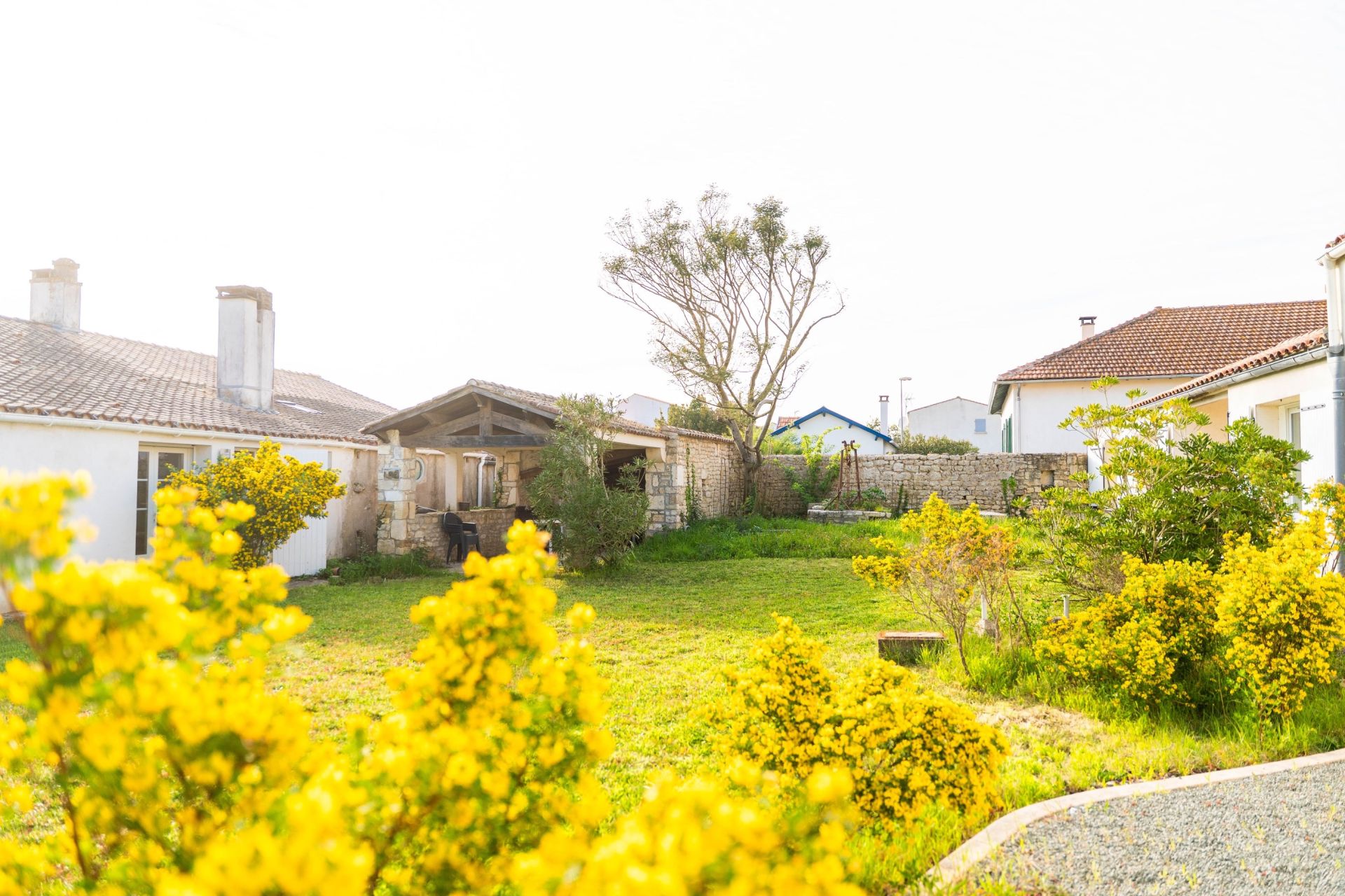 luxury house 14 Rooms for sale on DOMINO (17190)