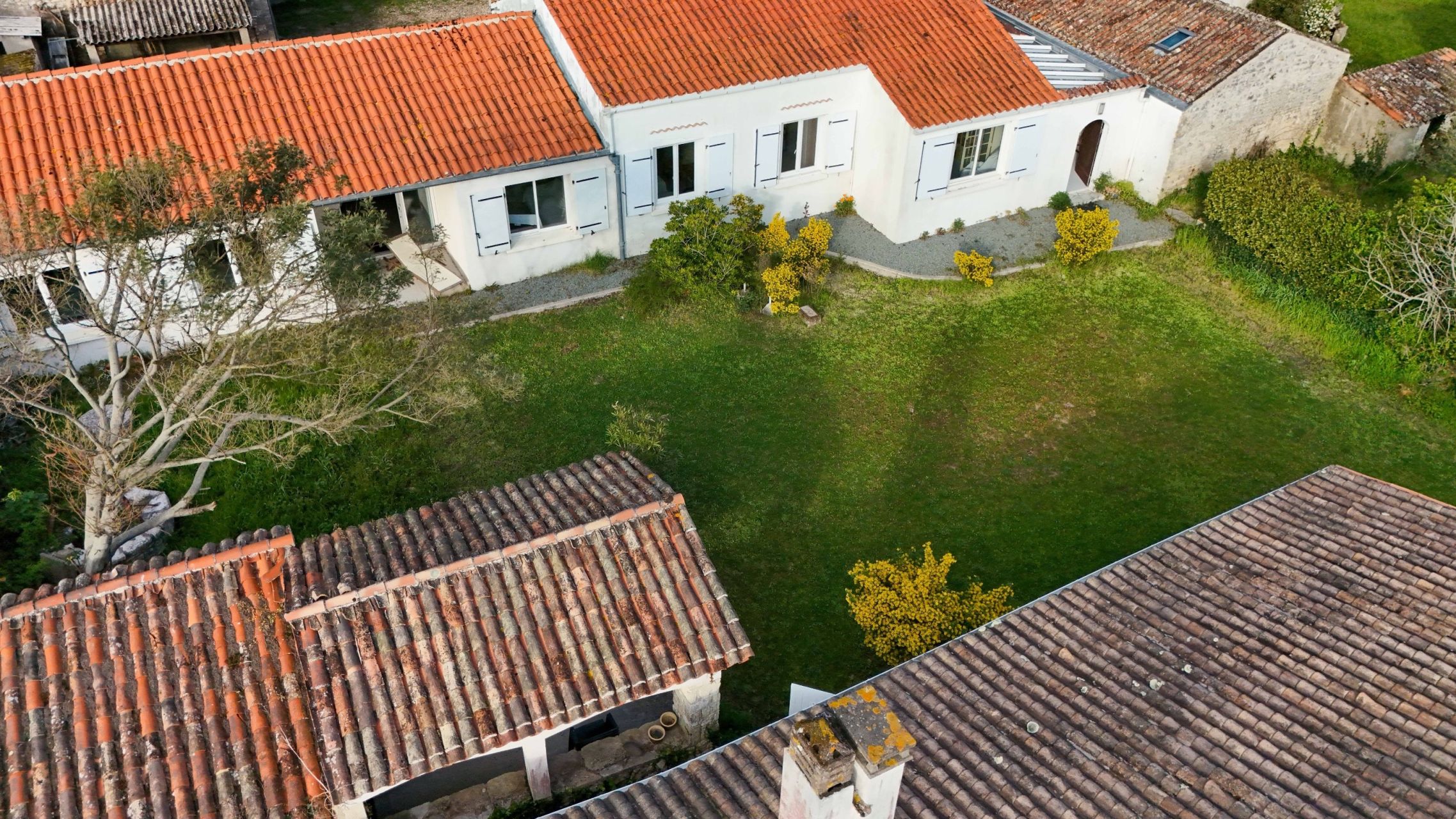 luxury house 14 Rooms for sale on DOMINO (17190)