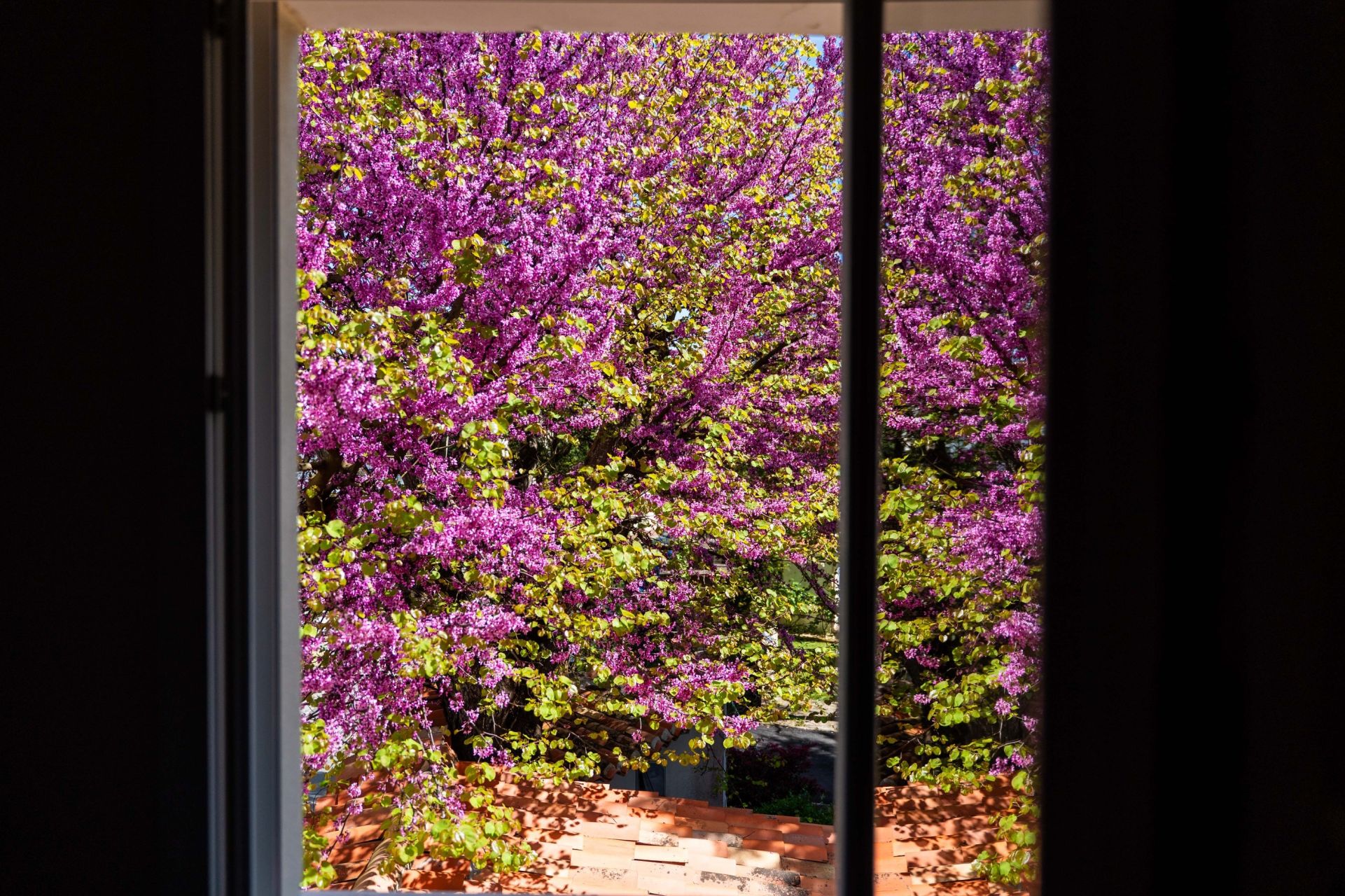 maison de luxe 6 Pièces en vente sur LA ROCHELLE (17000)