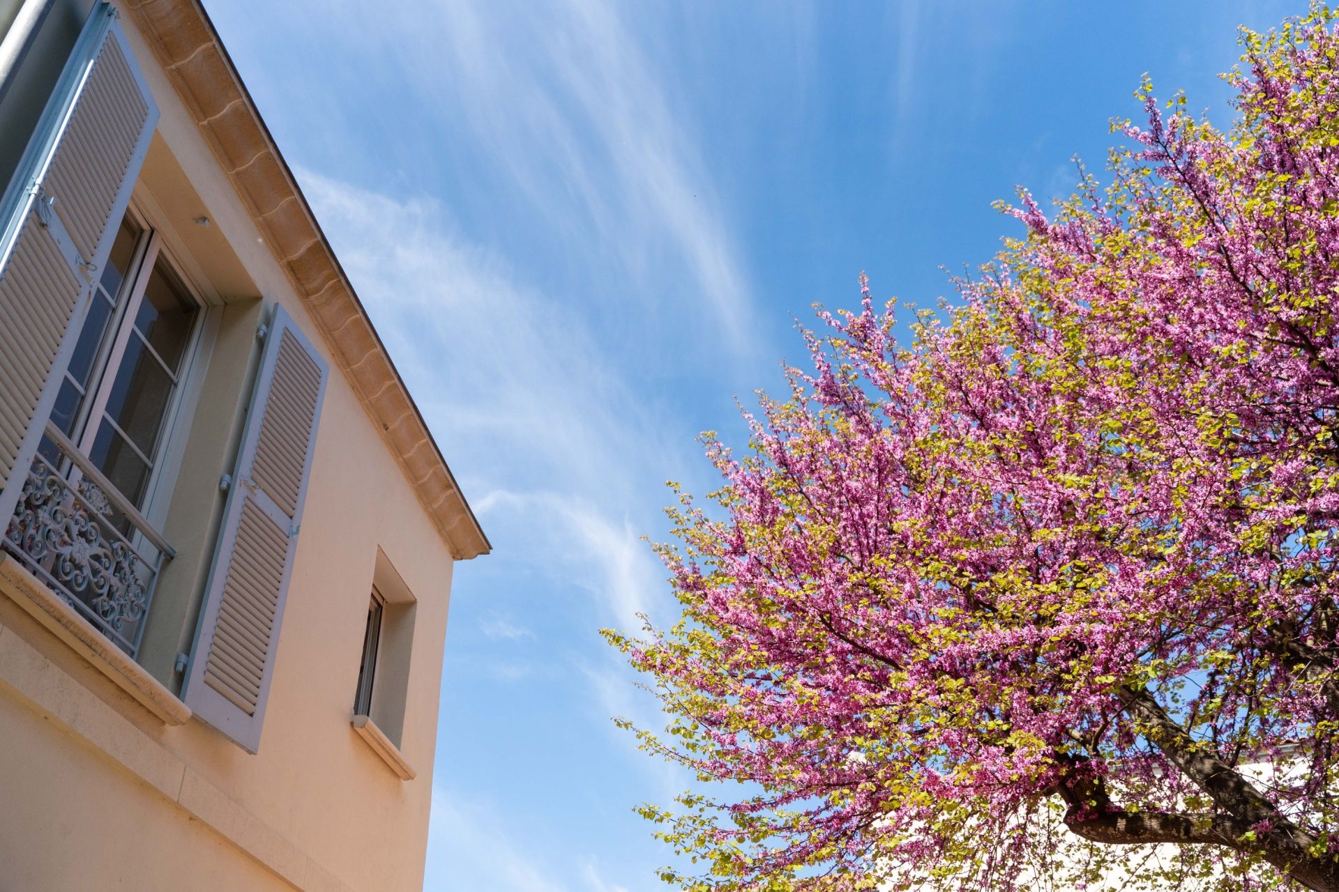 maison de luxe 6 Pièces en vente sur LA ROCHELLE (17000)