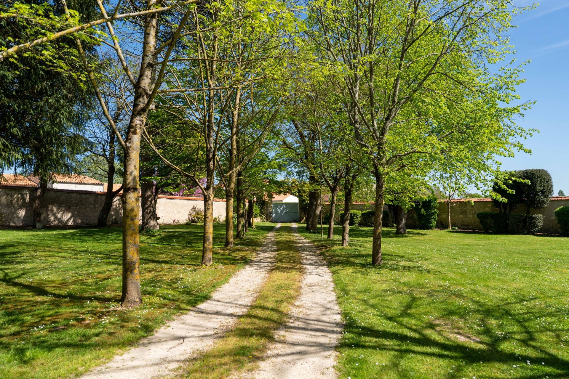 luxury house 6 Rooms for sale on AYTRE (17440)