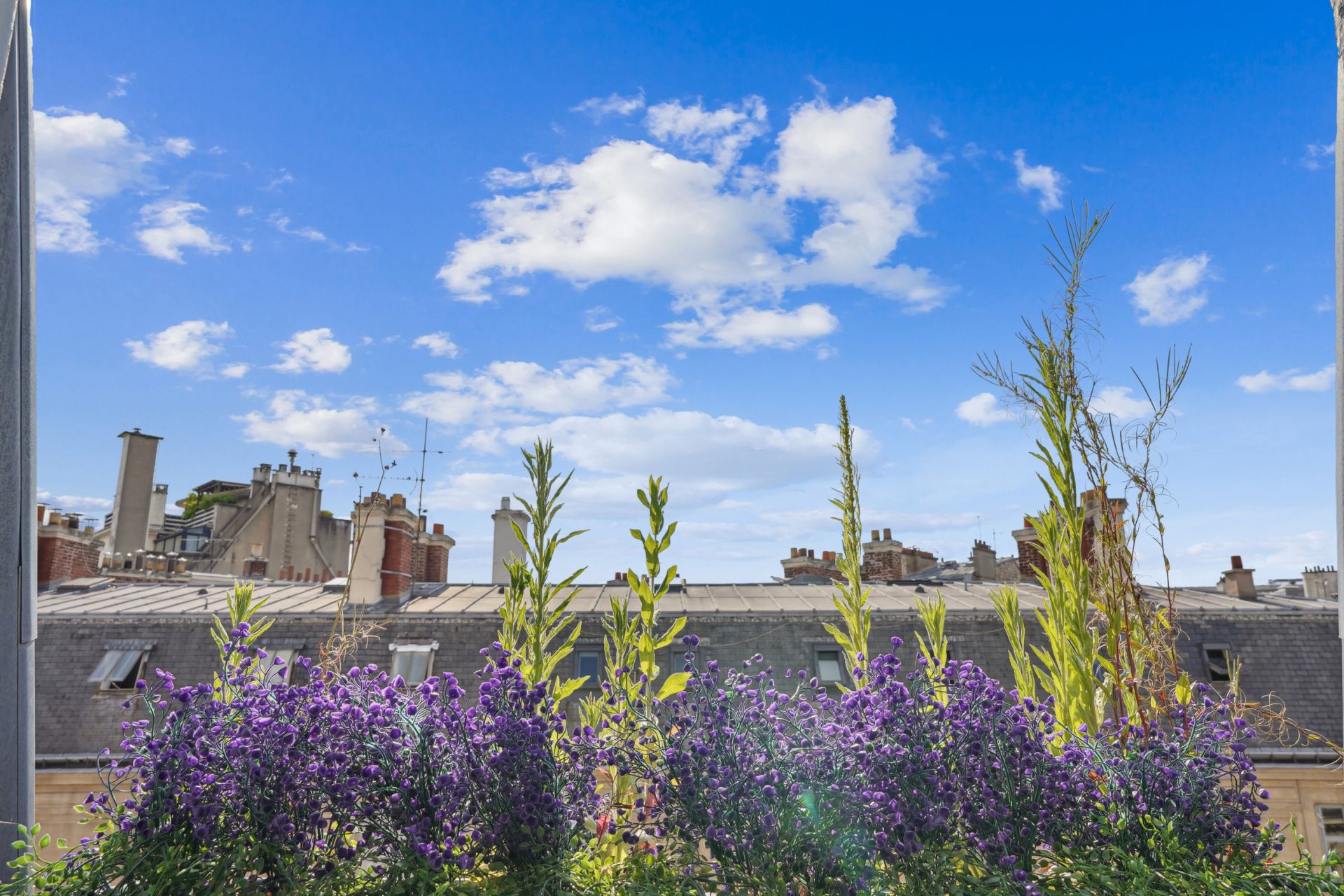 luxury apartment 2 Rooms for rent on PARIS (75017)