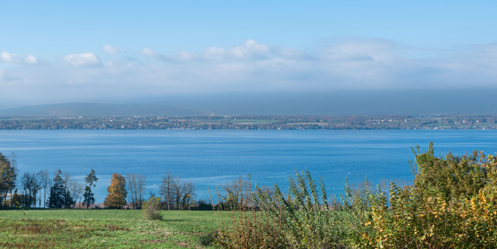 luxury house 9 Rooms for sale on CHENS SUR LEMAN (74140)