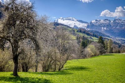 Vente Appartement de luxe Manigod 4&nbsp;Pièces 117&nbsp;m²