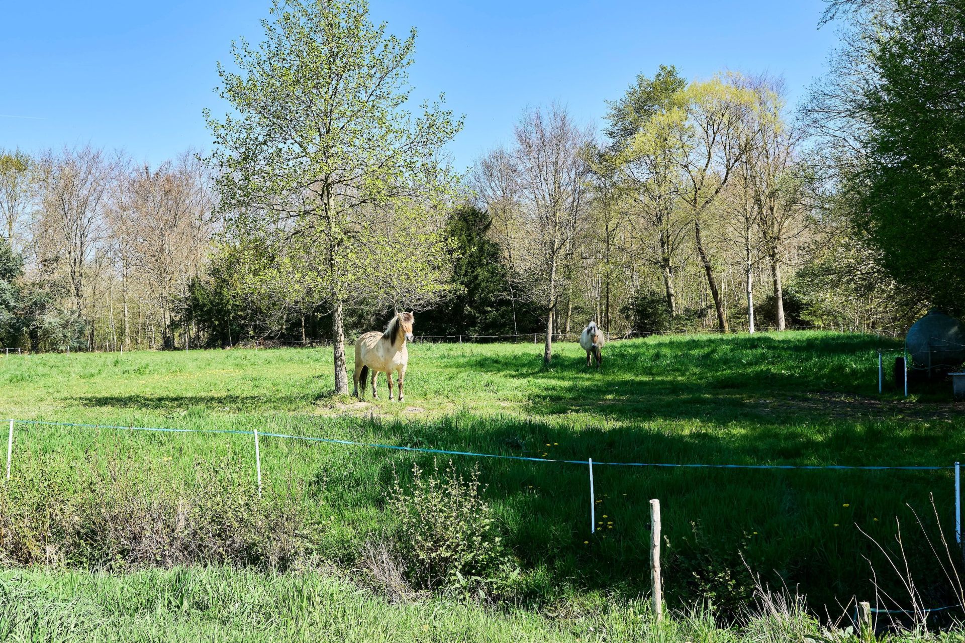 maison de luxe 20 Pièces en vente sur LECELLES (59226)