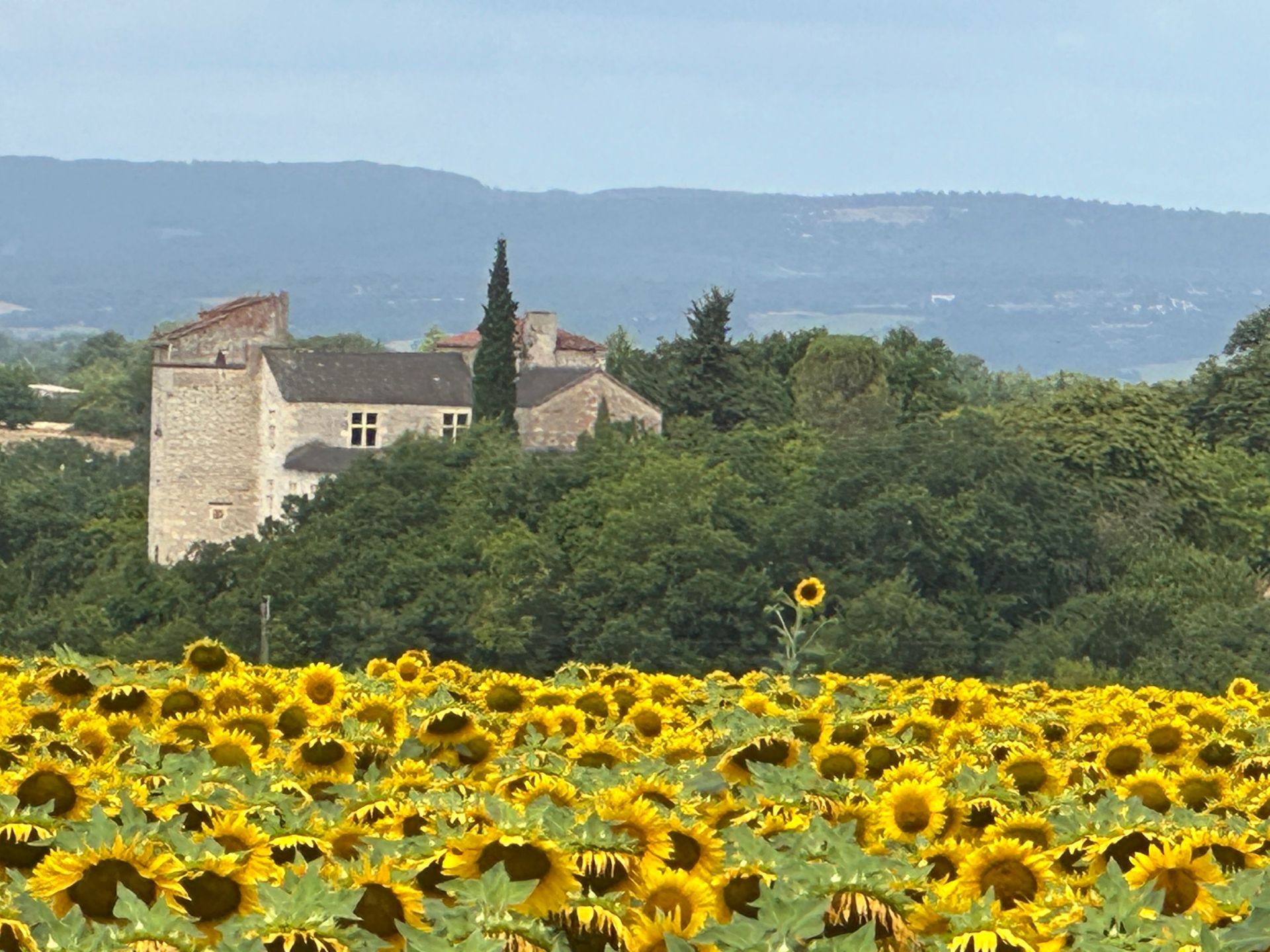 château 12 Pièces en vente sur CORDES SUR CIEL (81170)