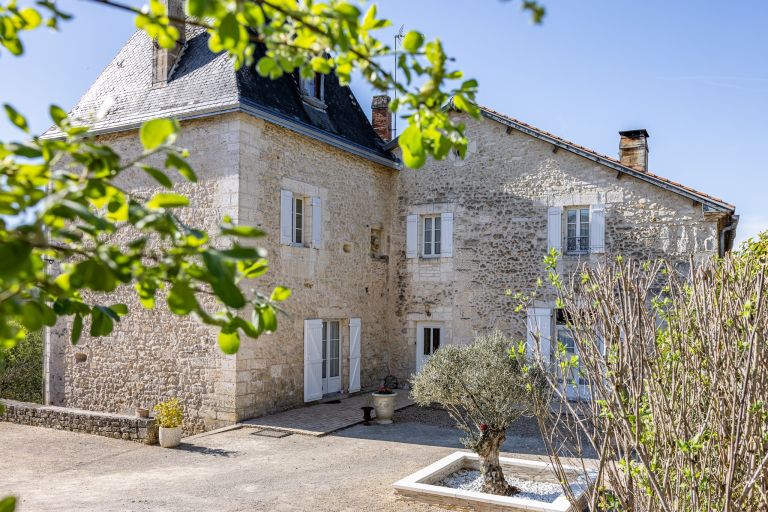 luxury house 10 Rooms for sale on BRANTOME (24310)