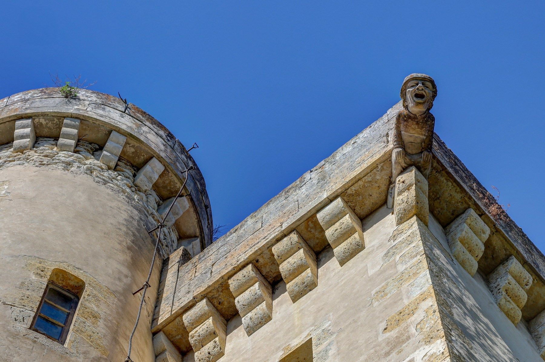 castle 30 Rooms for sale on LECTOURE (32700)
