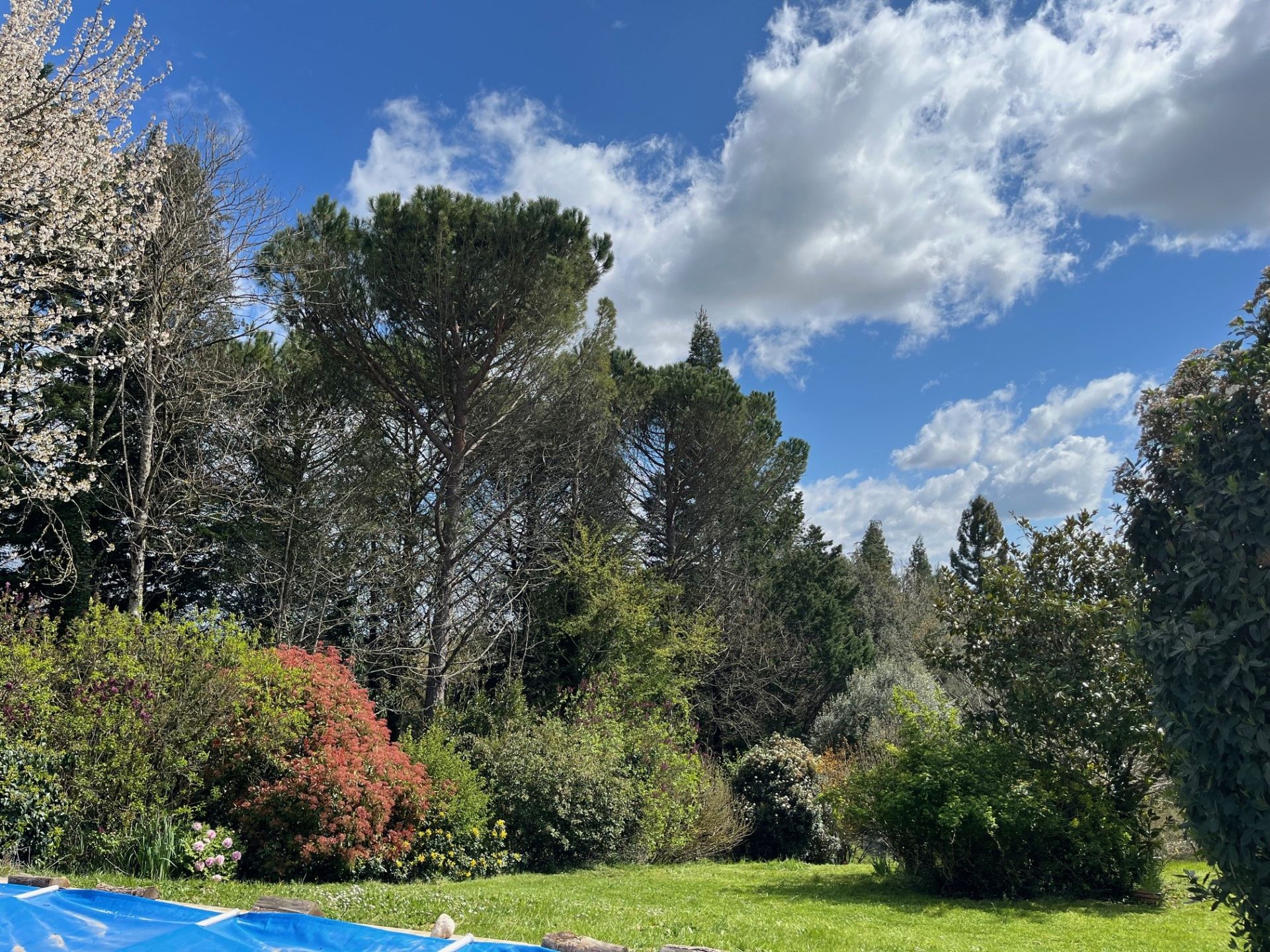 maison de luxe 7 Pièces en vente sur GRAGNAGUE (31380)