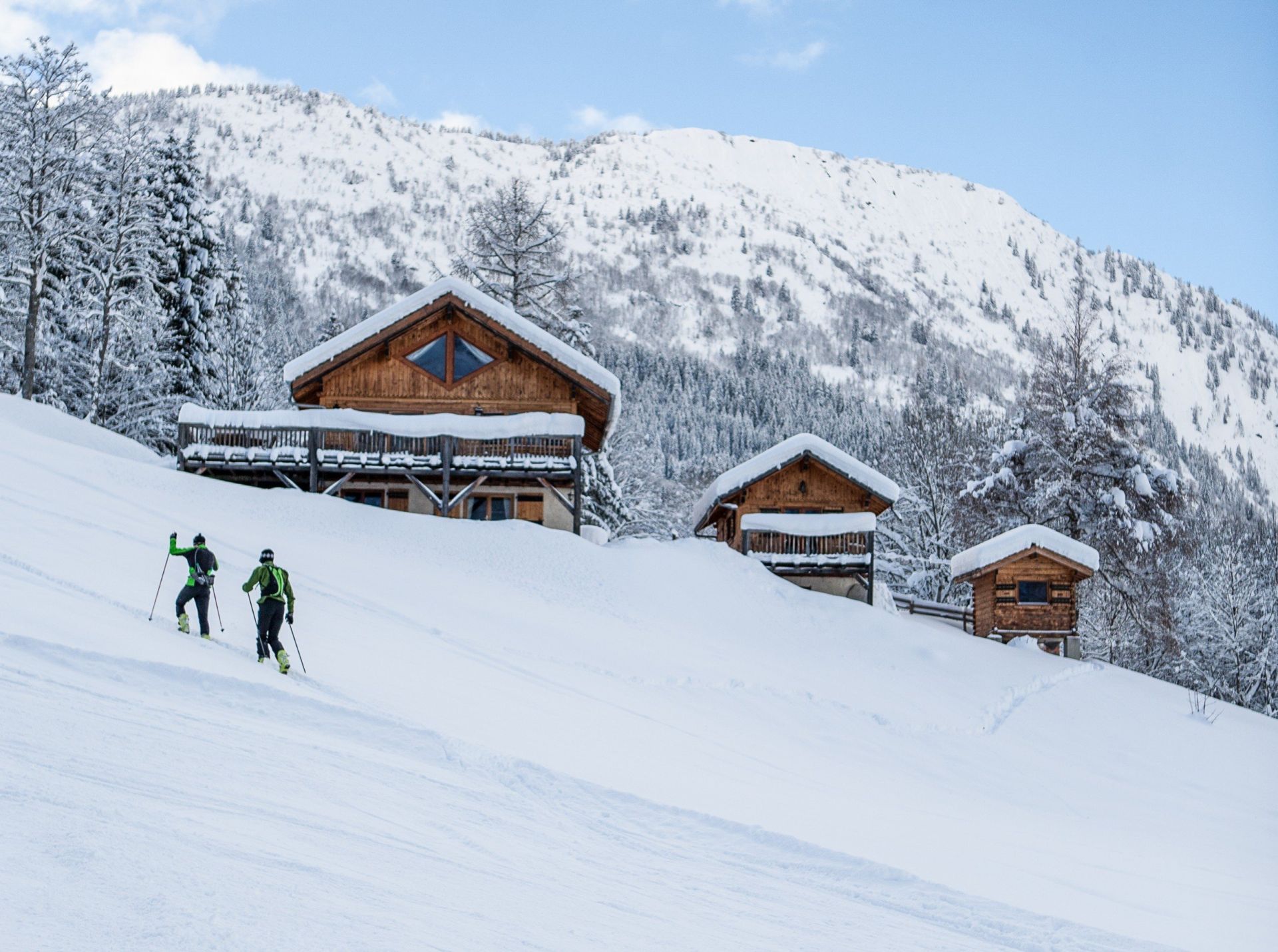 luxury chalet 11 Rooms for sale on LES HOUCHES (74310)