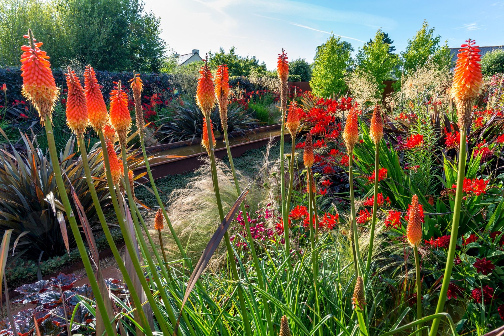 propriété de luxe 8 Pièces en vente sur PLOUEC DU TRIEUX (22260)