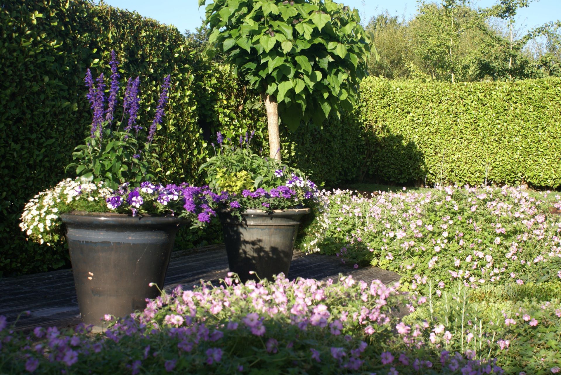 propriété de luxe 8 Pièces en vente sur PLOUEC DU TRIEUX (22260)