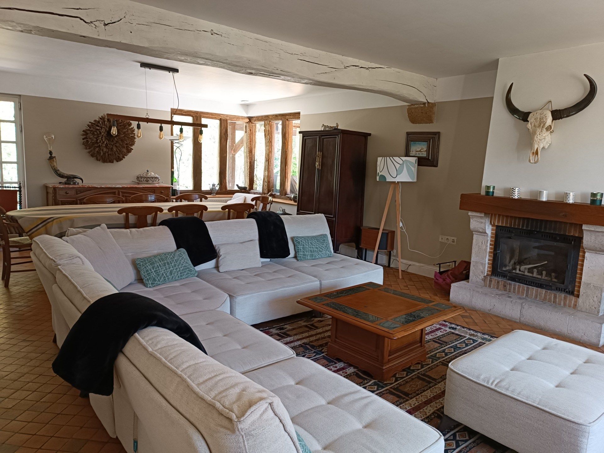 maison de luxe 7 Pièces en vente sur CELLETTES (41120)