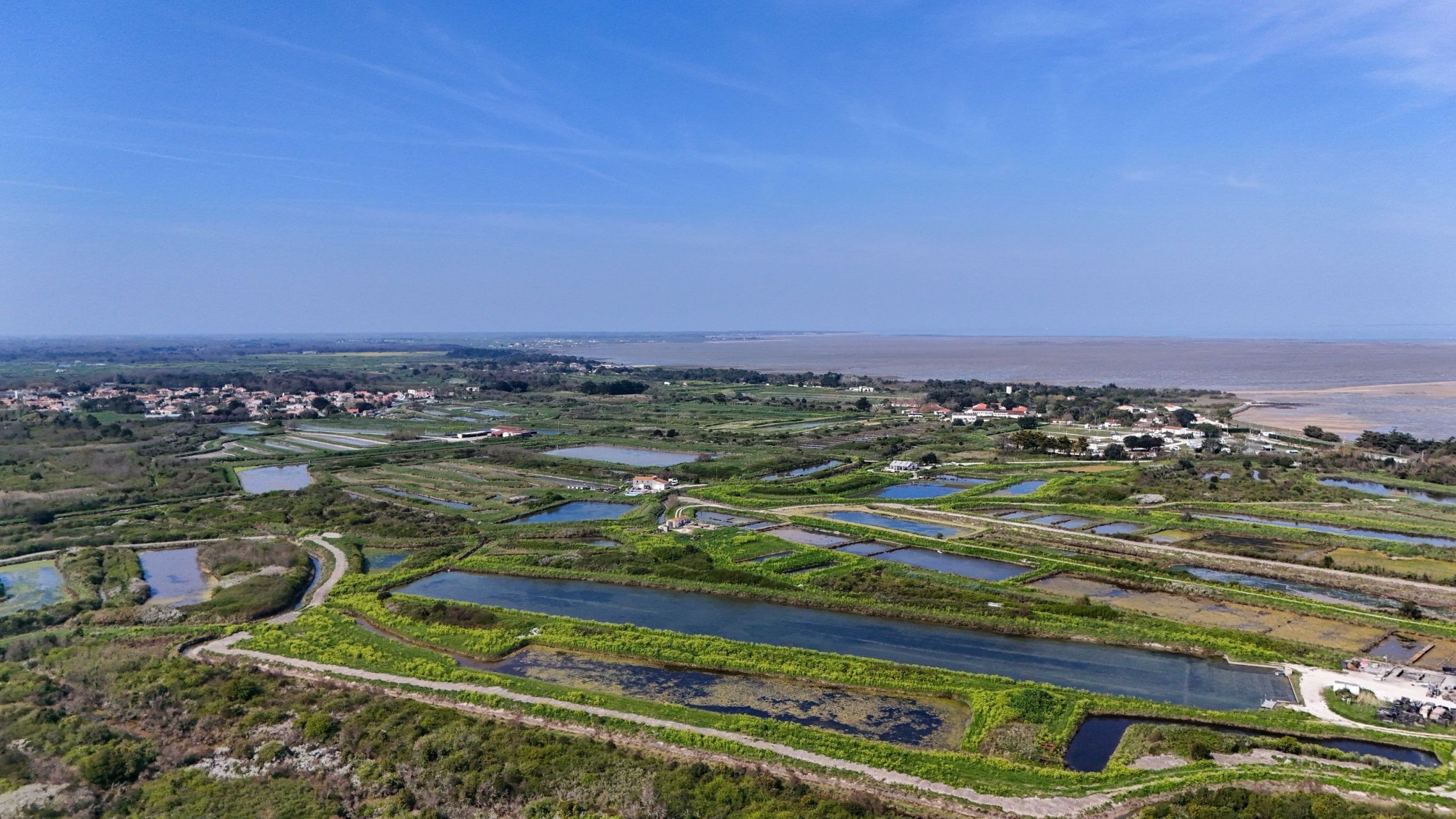 maison de luxe 10 Pièces en vente sur LE CHATEAU D OLERON (17480)