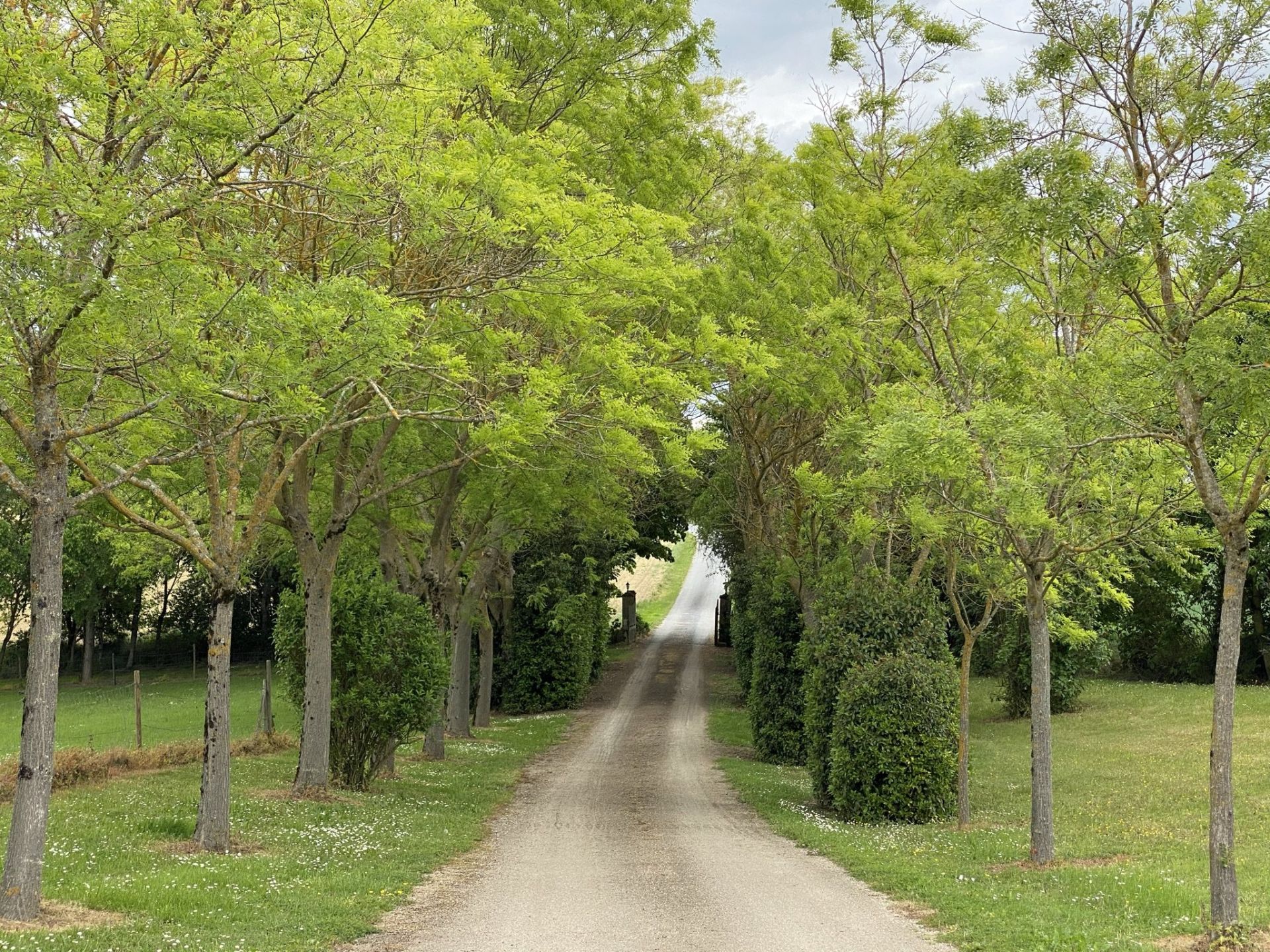 maison de luxe 30 Pièces en vente sur LAVAUR (81500)