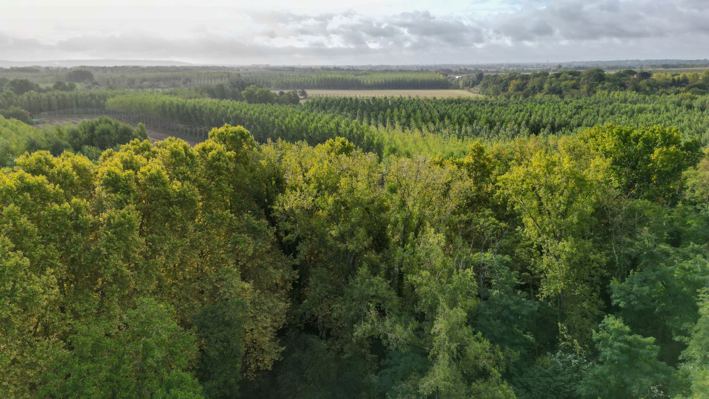 château 24 Pièces en vente sur TOULOUSE (31000)