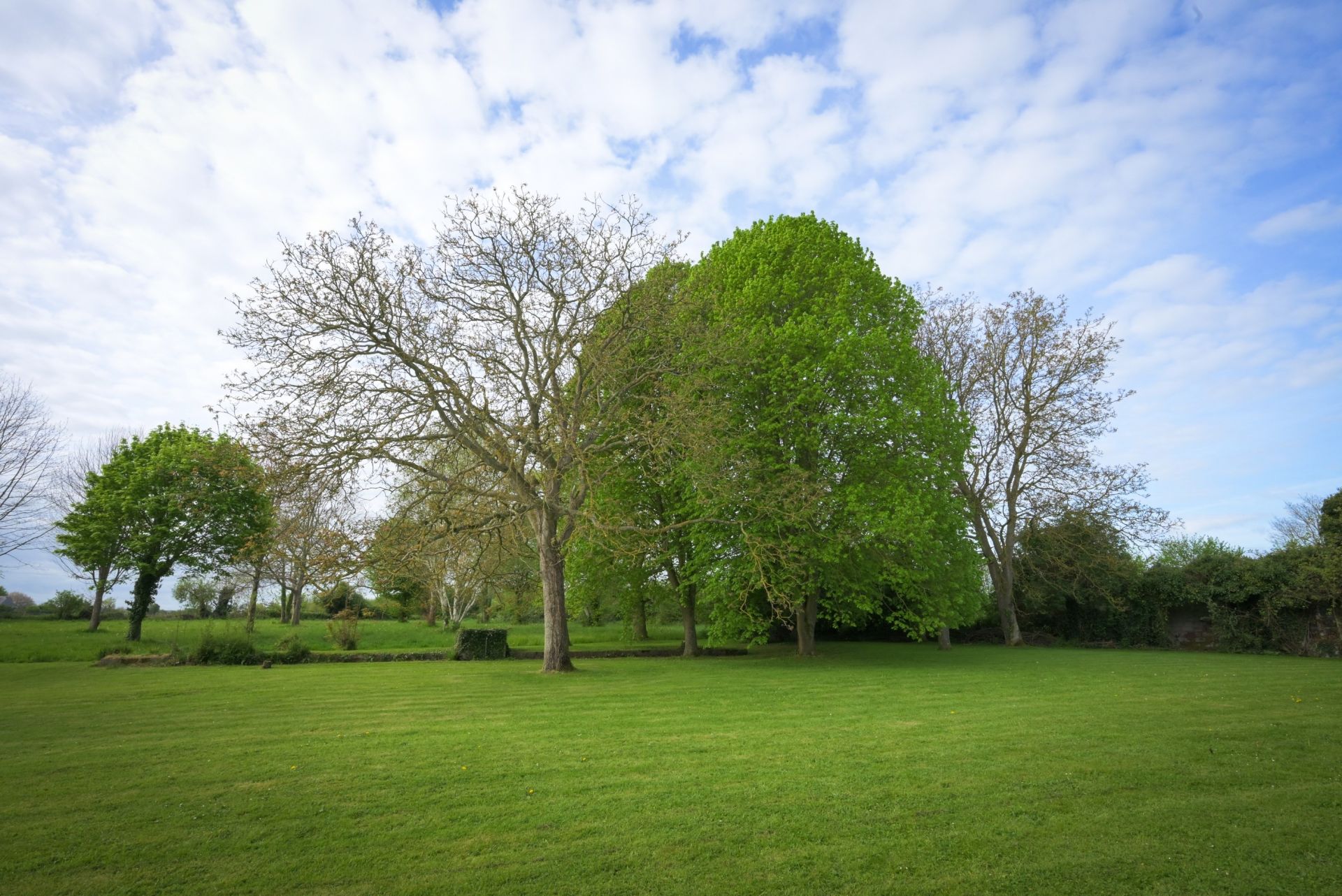 luxury house 9 Rooms for sale on BAYEUX (14400)