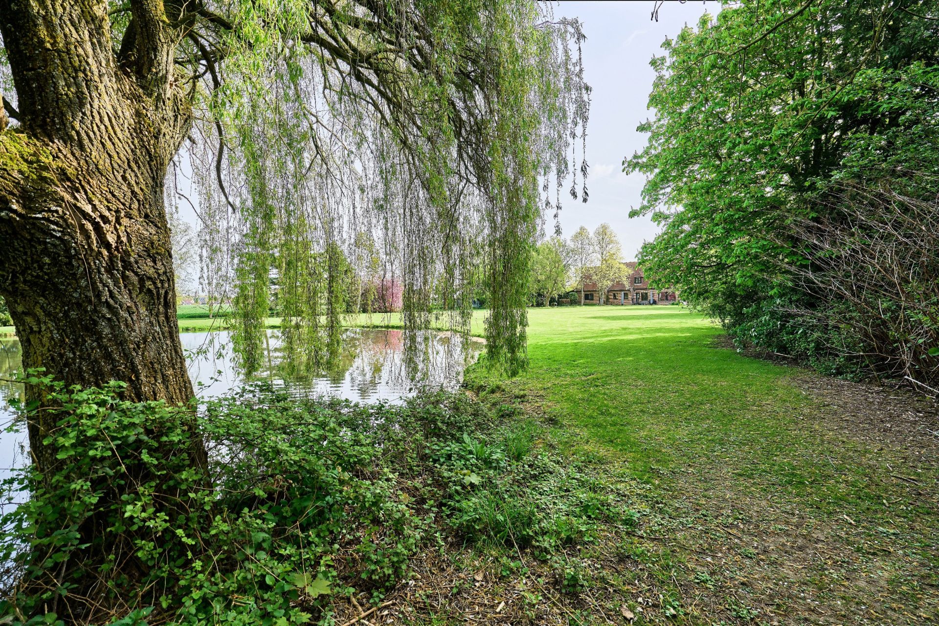 luxury house 13 Rooms for sale on STEENWERCK (59181)
