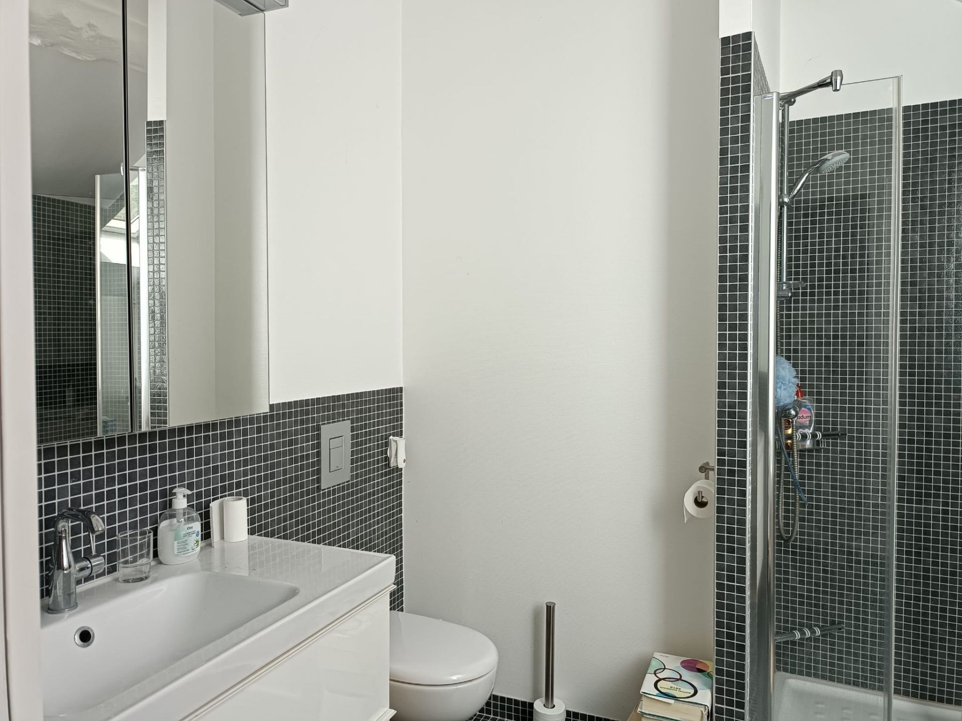 maison de luxe 12 Pièces en vente sur BLOIS (41000)