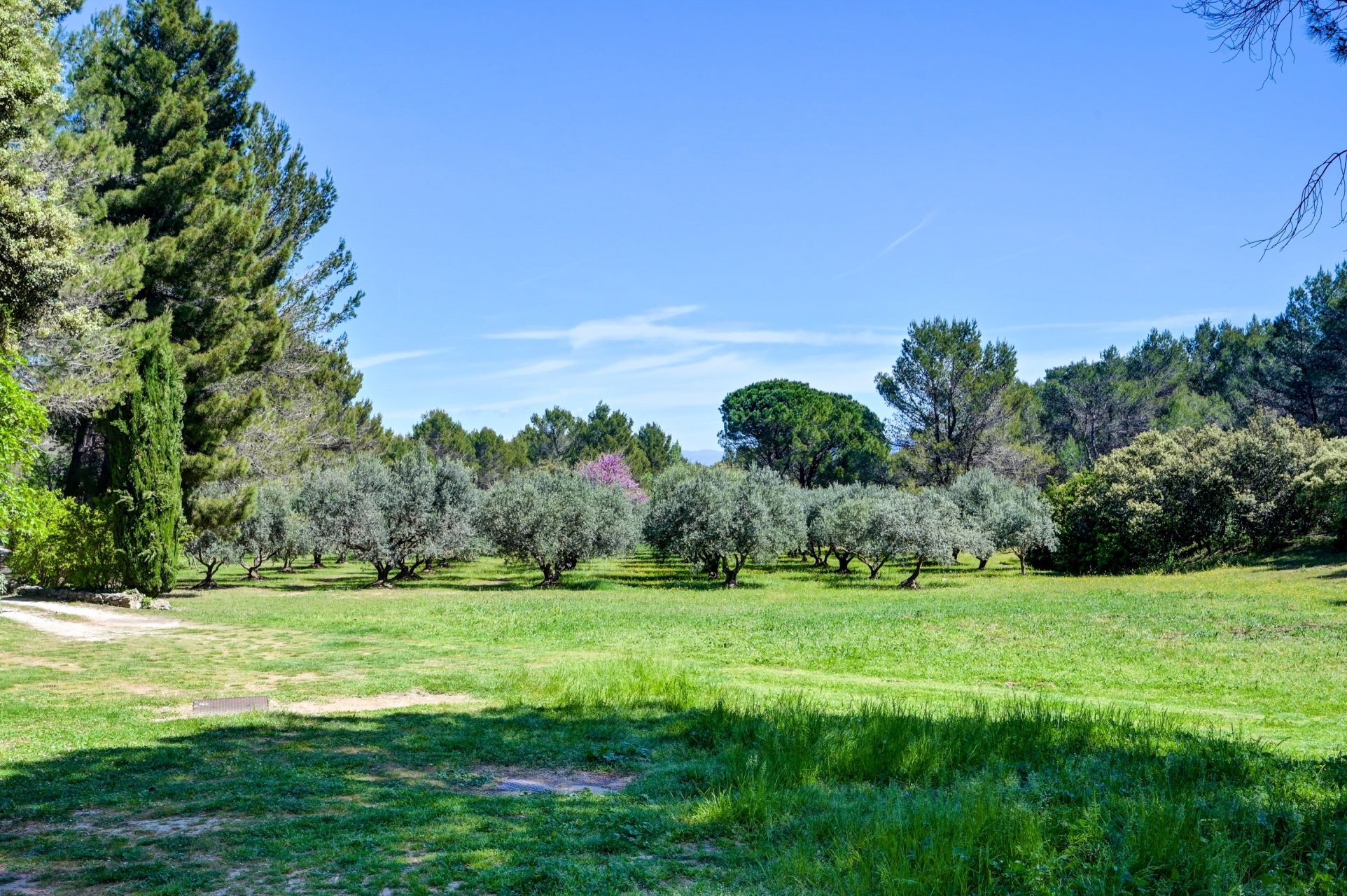 mas 16 Rooms for sale on EYGALIERES (13810)