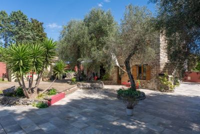 Vente Maison provençale de luxe Grasse 7&nbsp;Pièces 213&nbsp;m²