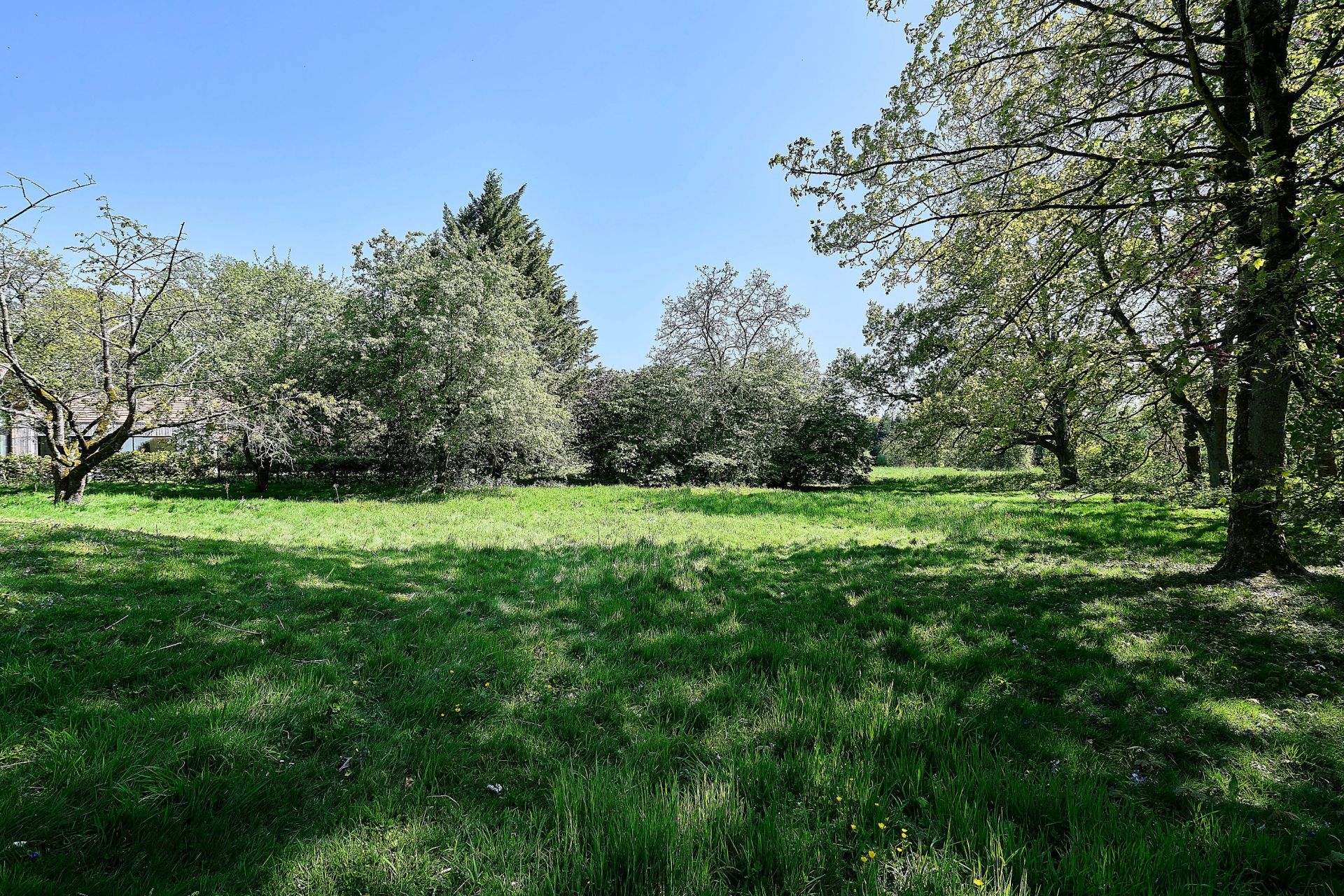 luxury house 9 Rooms for sale on MOUVAUX (59420)