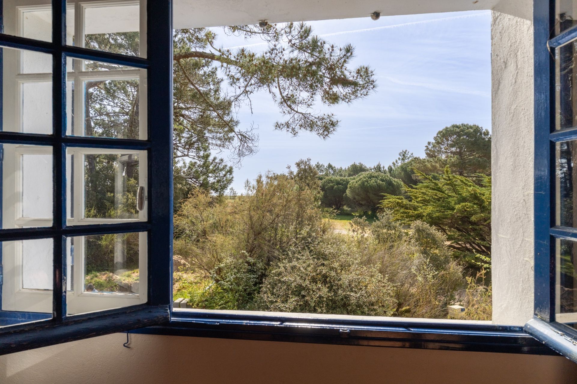 luxury house 6 Rooms for sale on L ILE D YEU (85350)