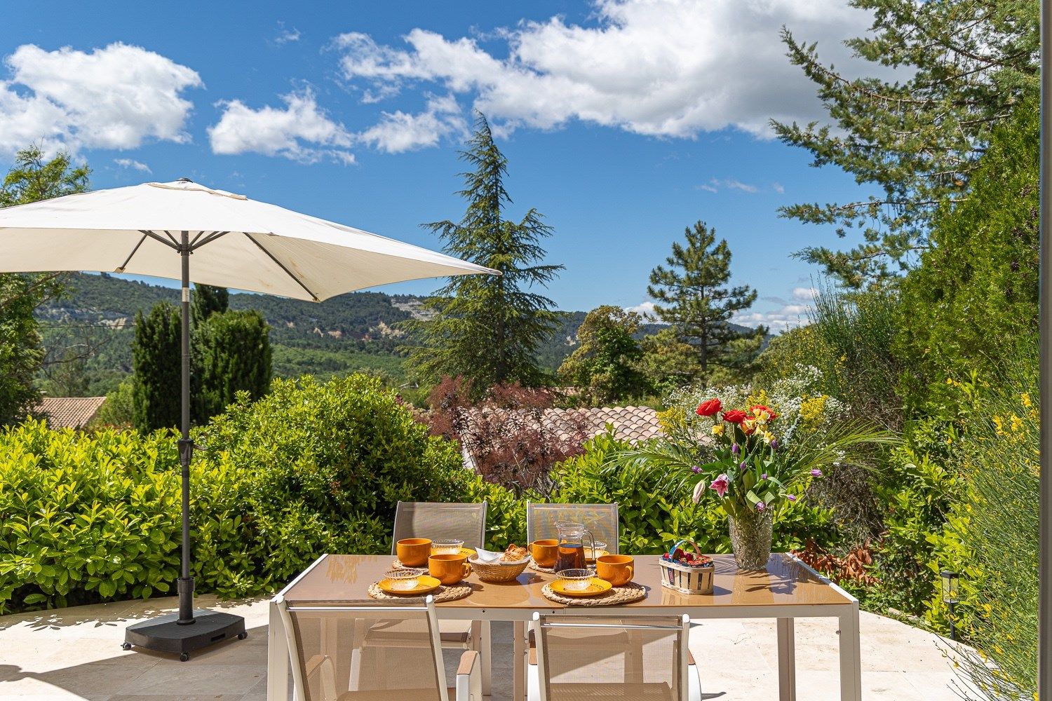 luxury house 10 Rooms for sale on RUSTREL (84400)