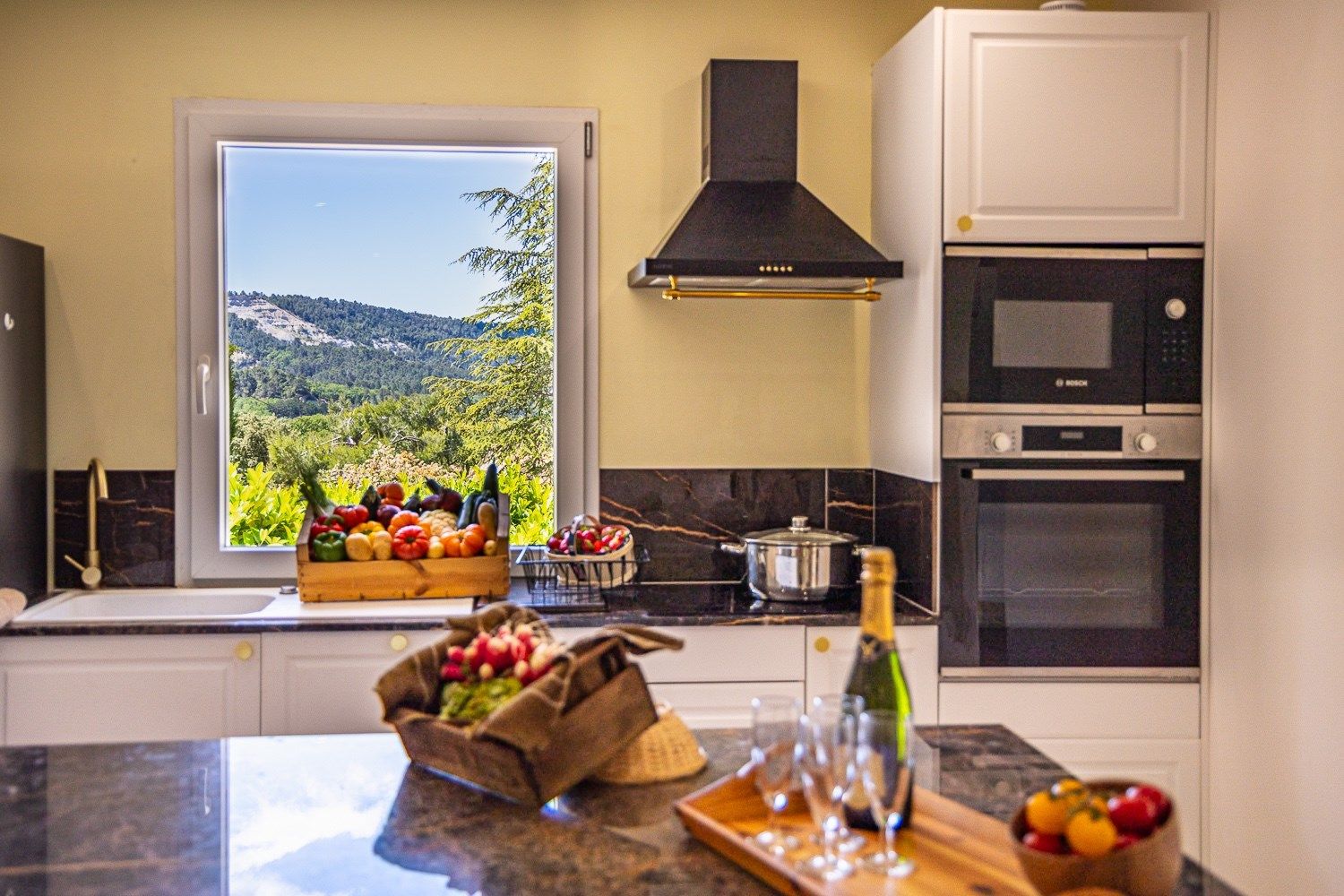 luxury house 10 Rooms for sale on RUSTREL (84400)